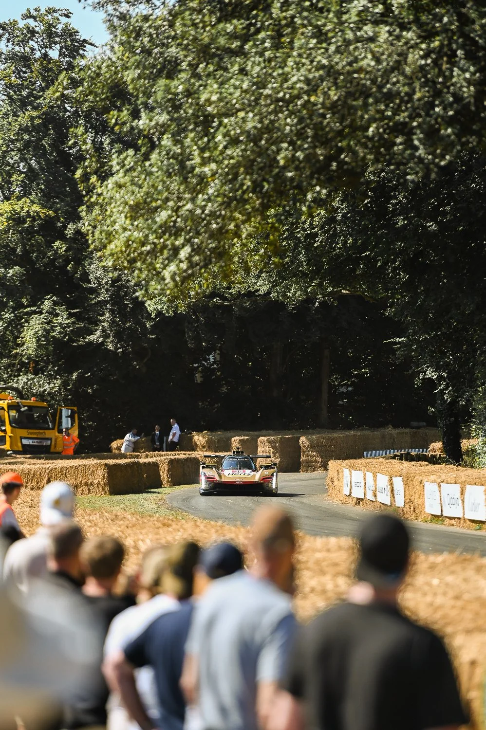 DSC_6928.jpg