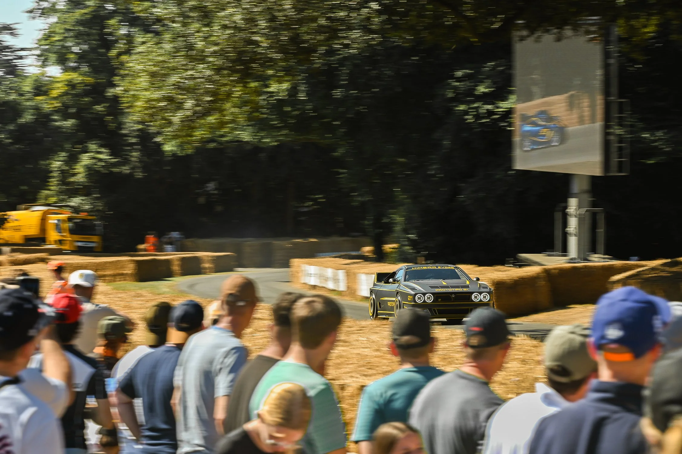 DSC_7365.jpg