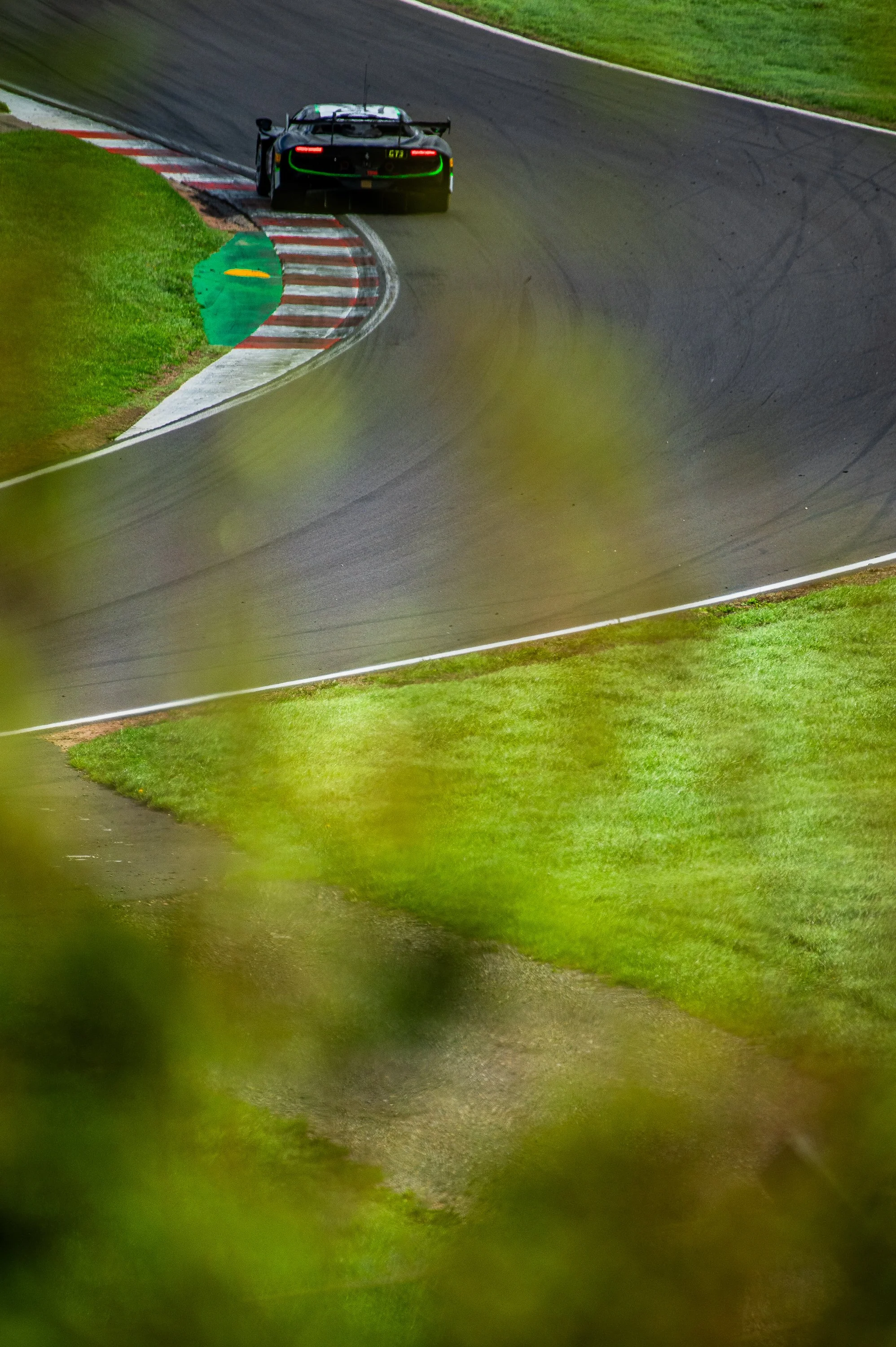 DSC_8185.jpg