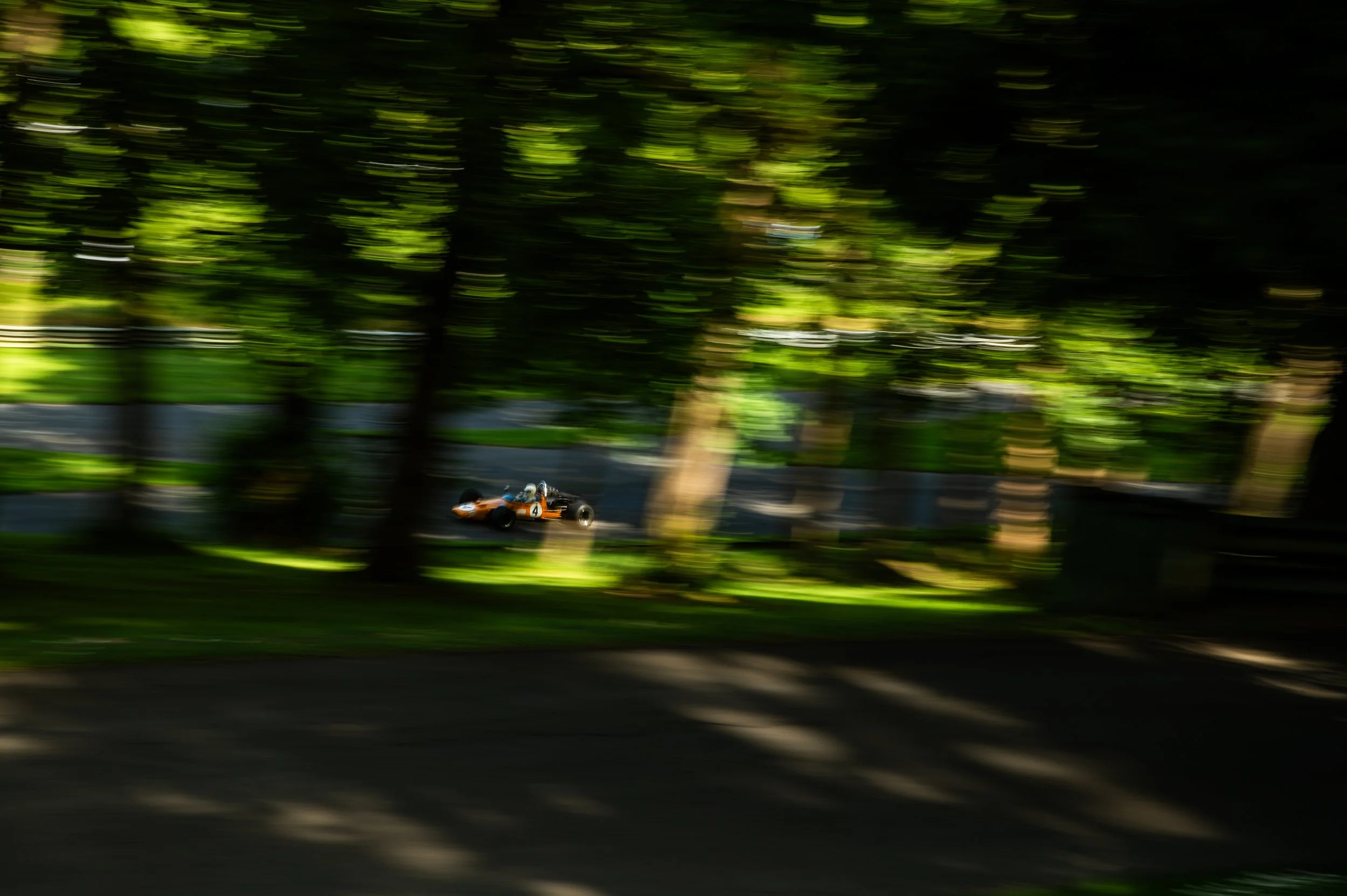 DSC_8040.jpg