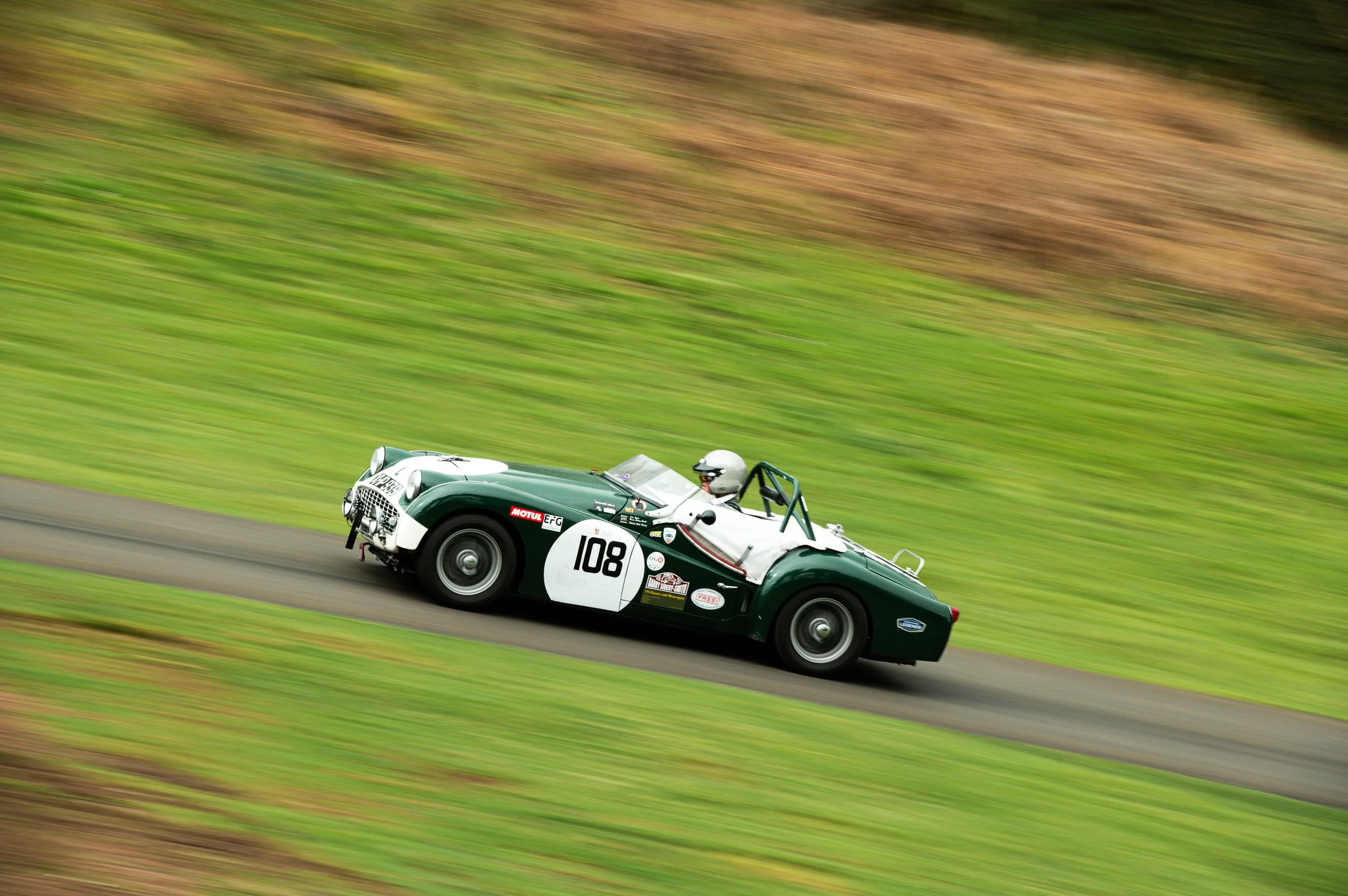 DSC_6785.jpg
