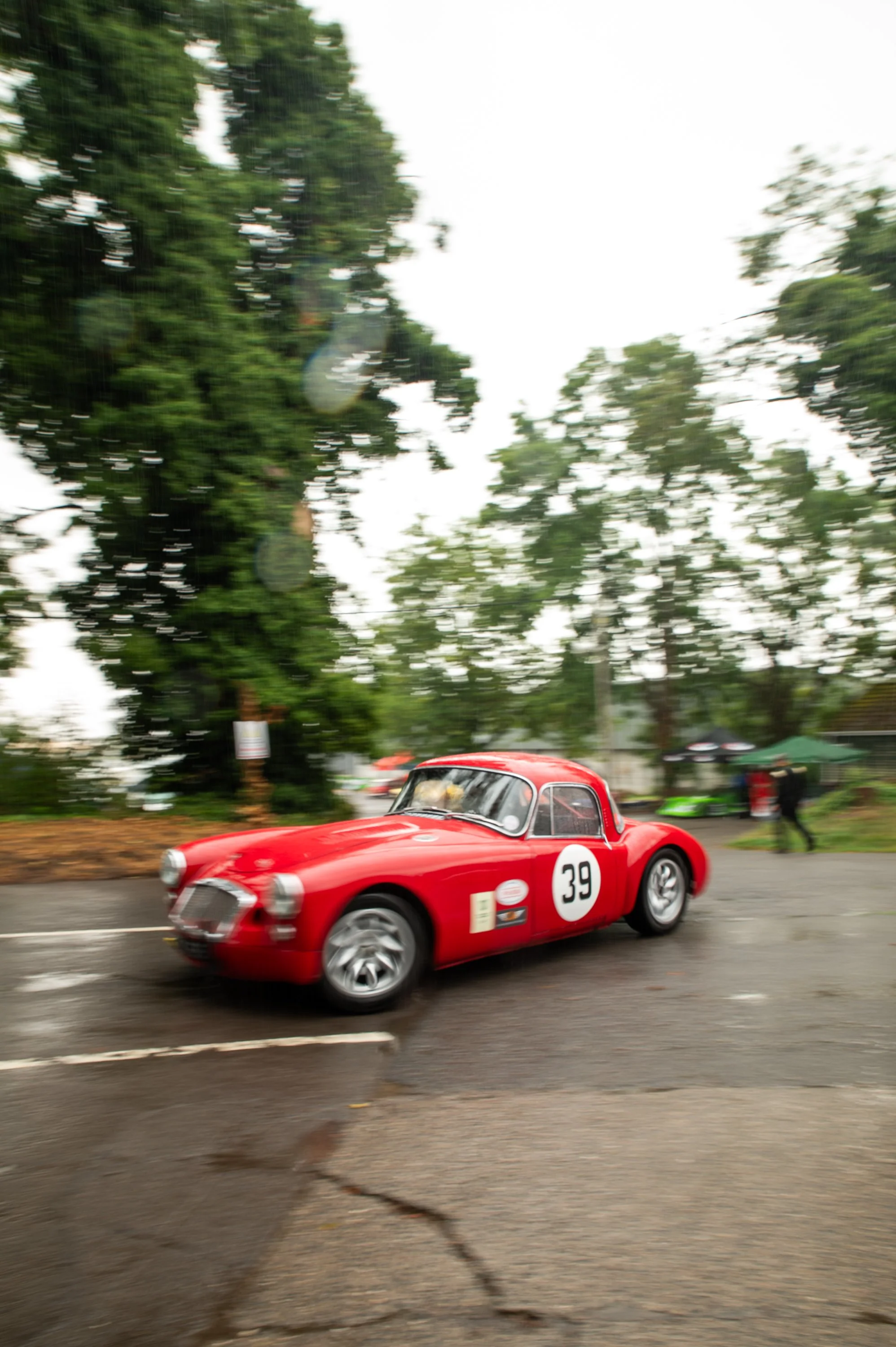 DSC_5113.jpg
