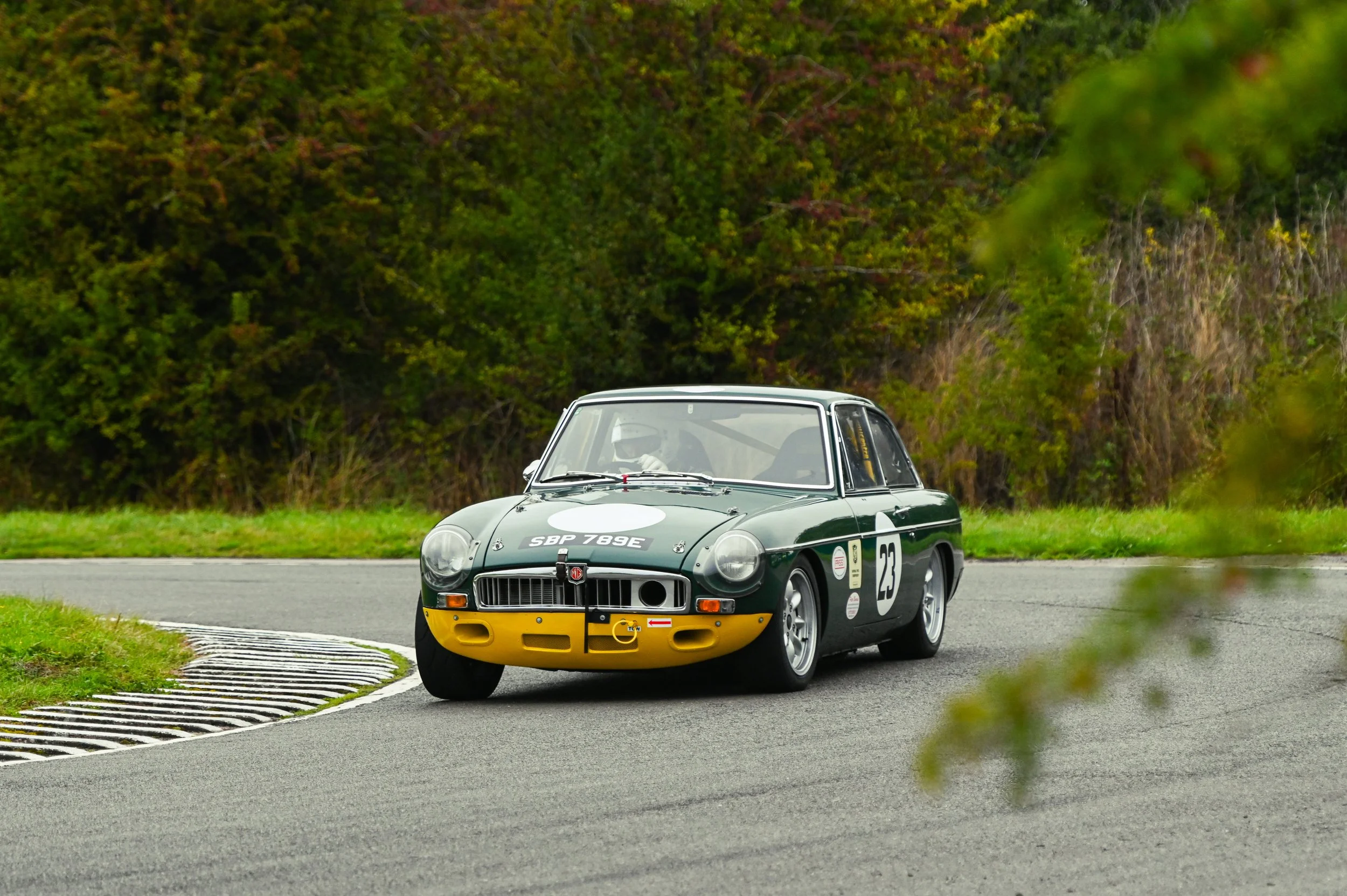 DSC_1913.jpg