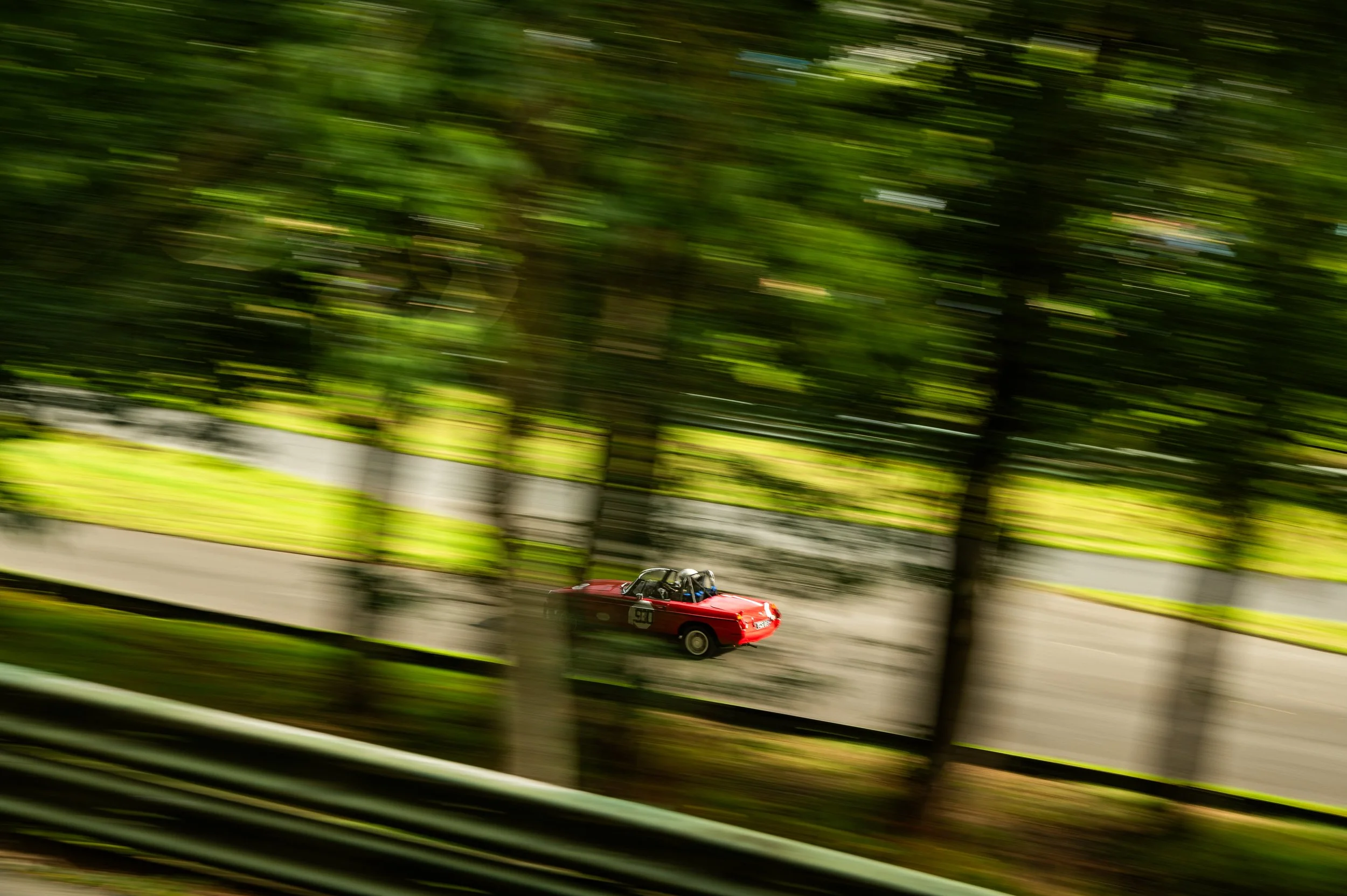 DSC_4676.jpg