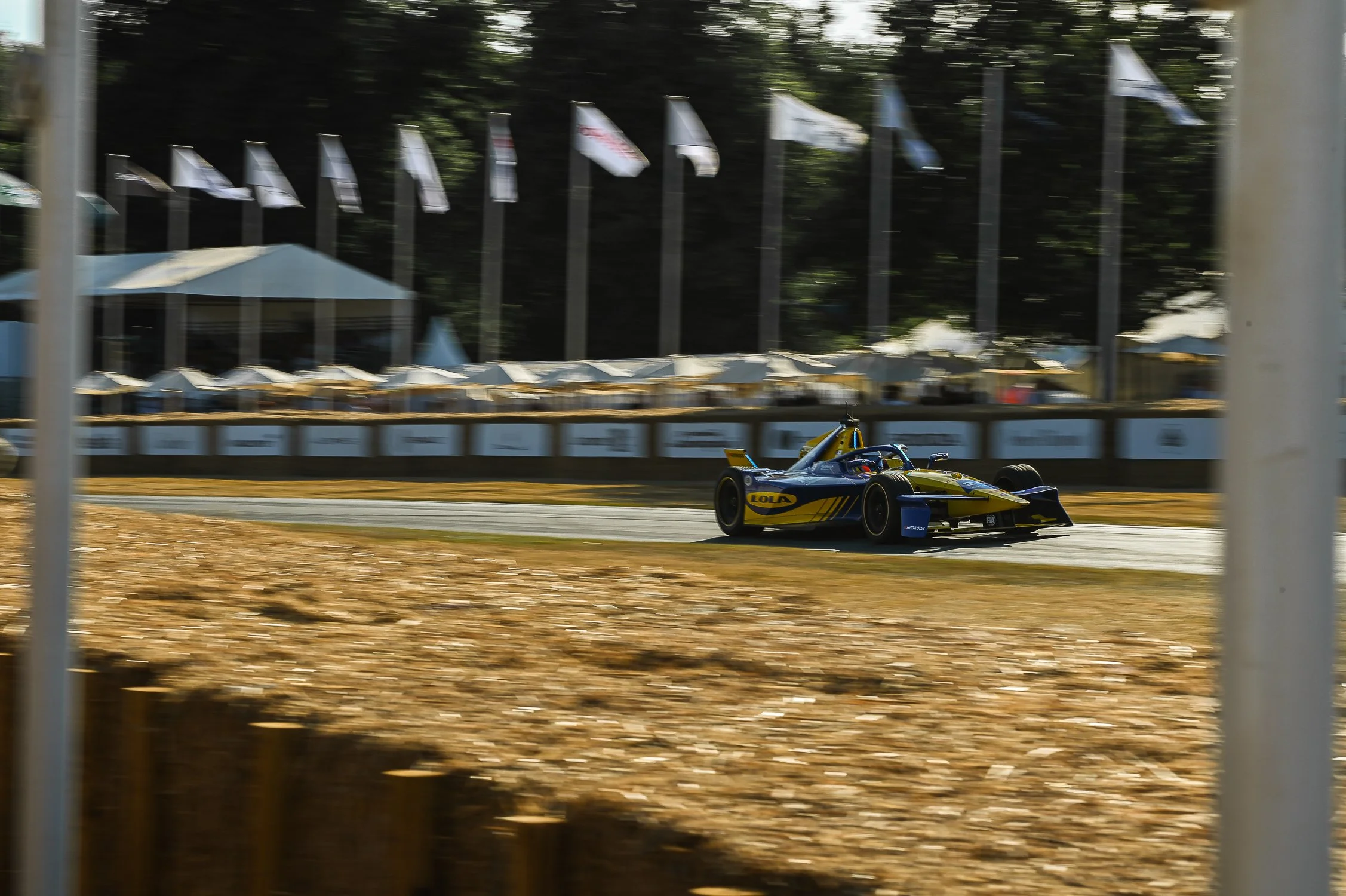 DSC_9903.jpg