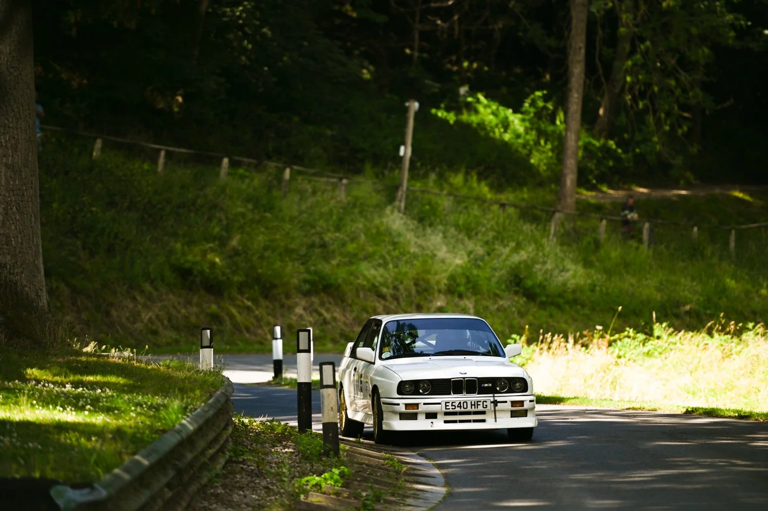 DSC_5706-2.jpg
