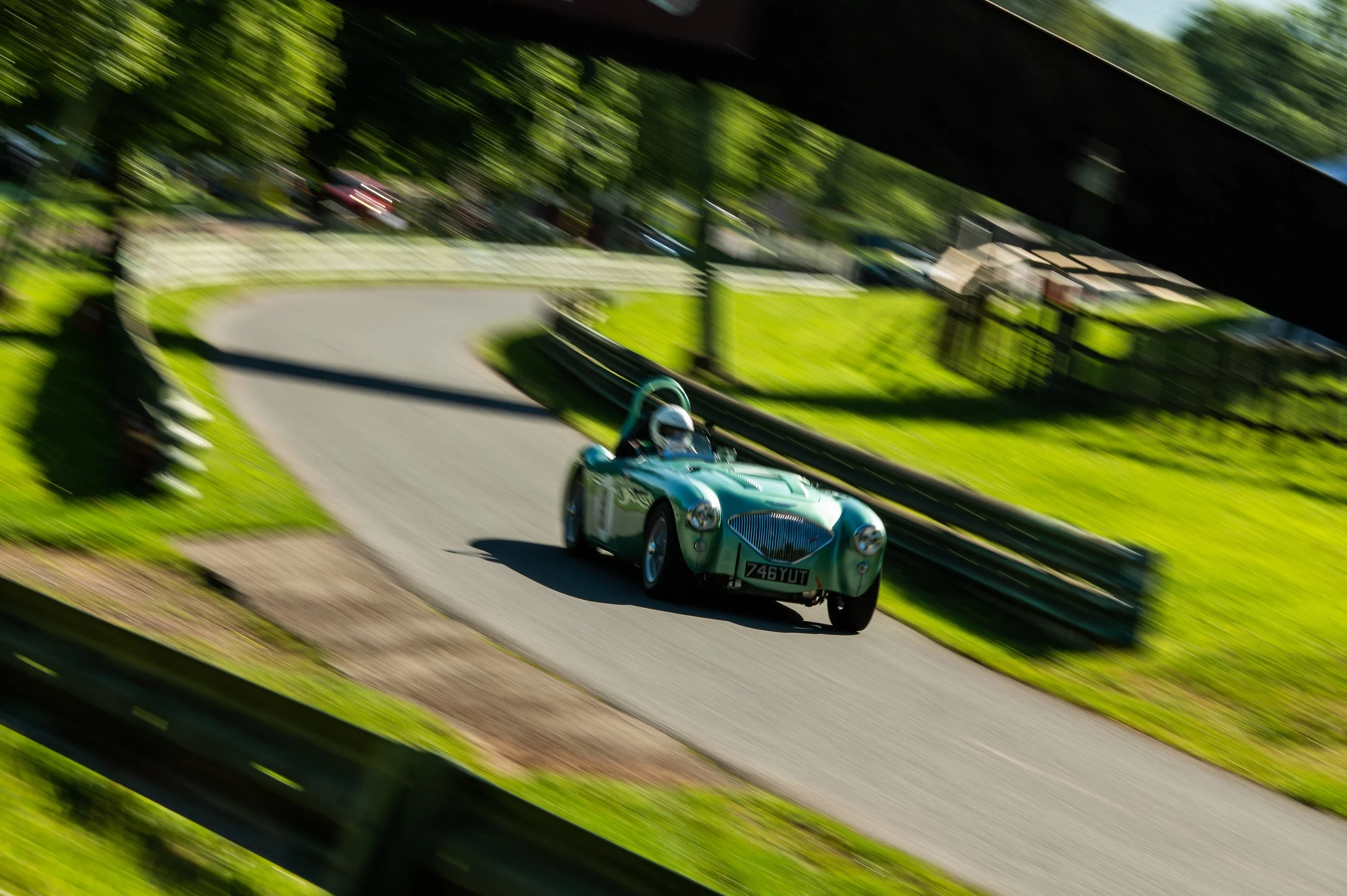 DSC_3763.jpg