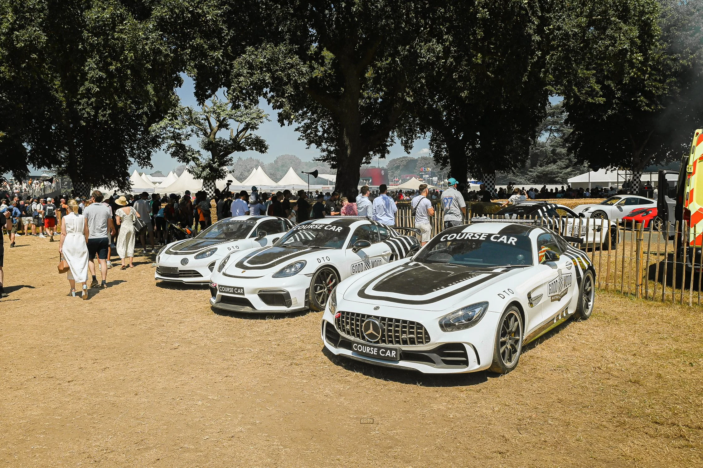 DSC_8653.jpg
