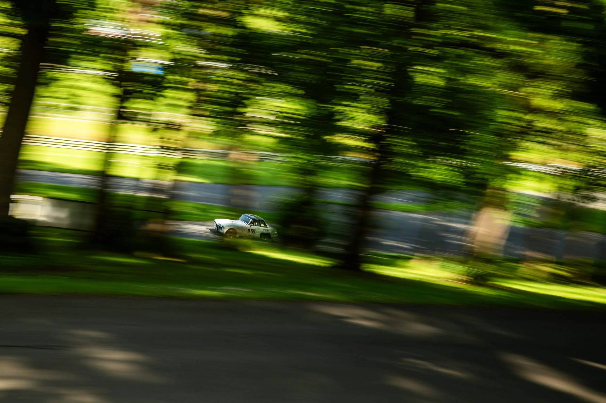 DSC_7500.jpg
