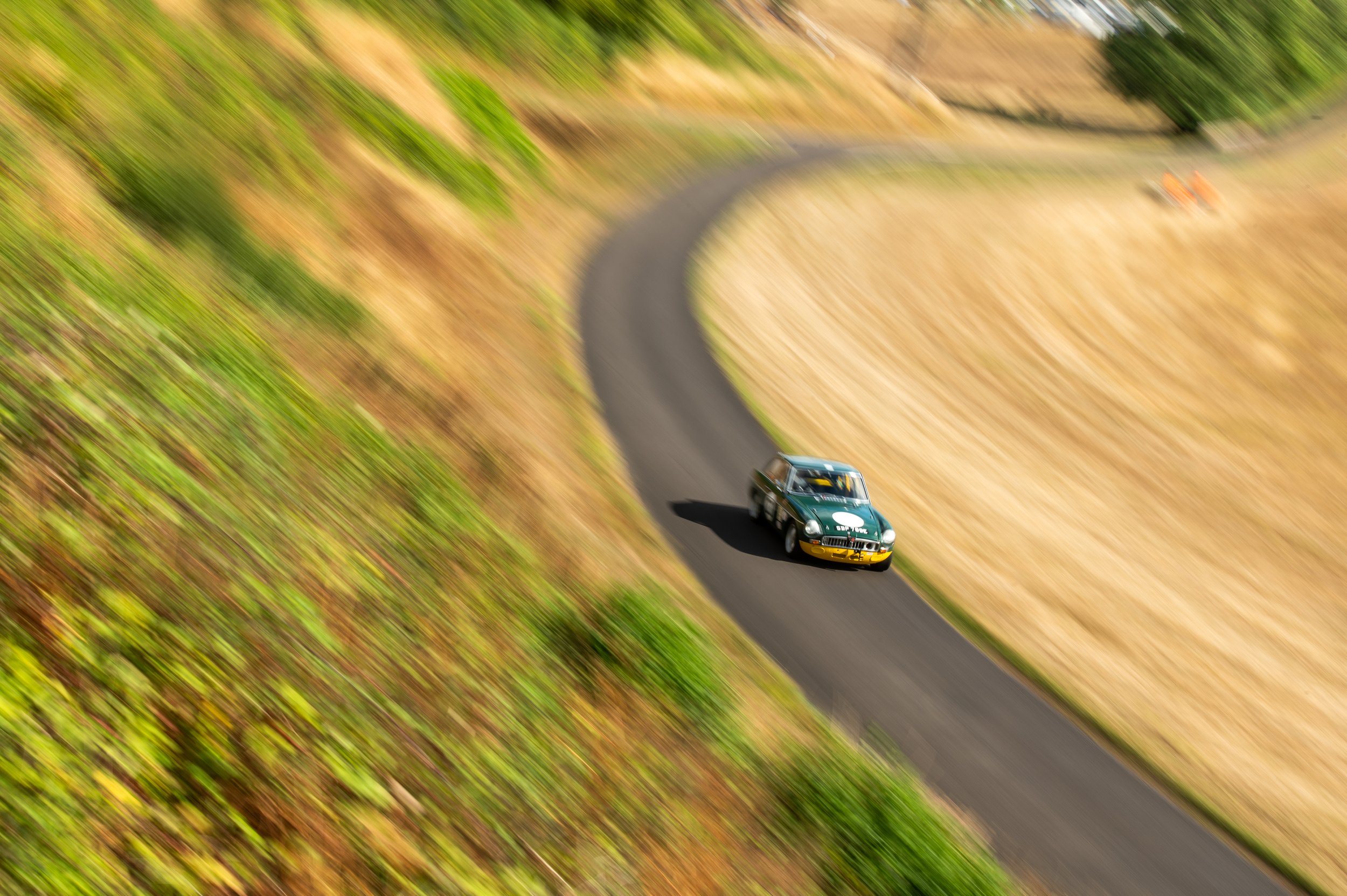 DSC_5386.jpg