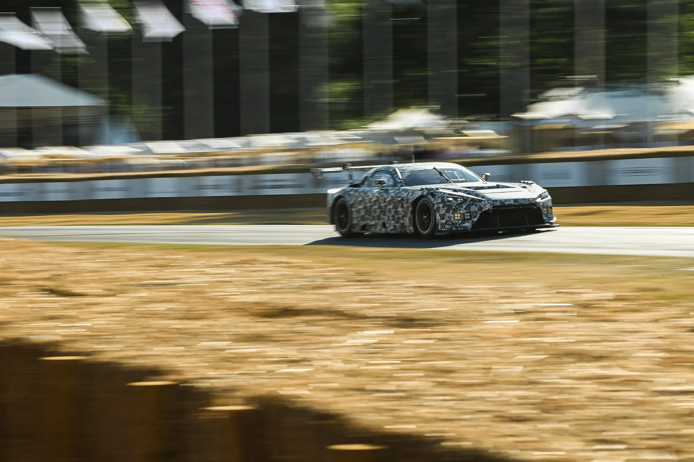 DSC_9994.jpg