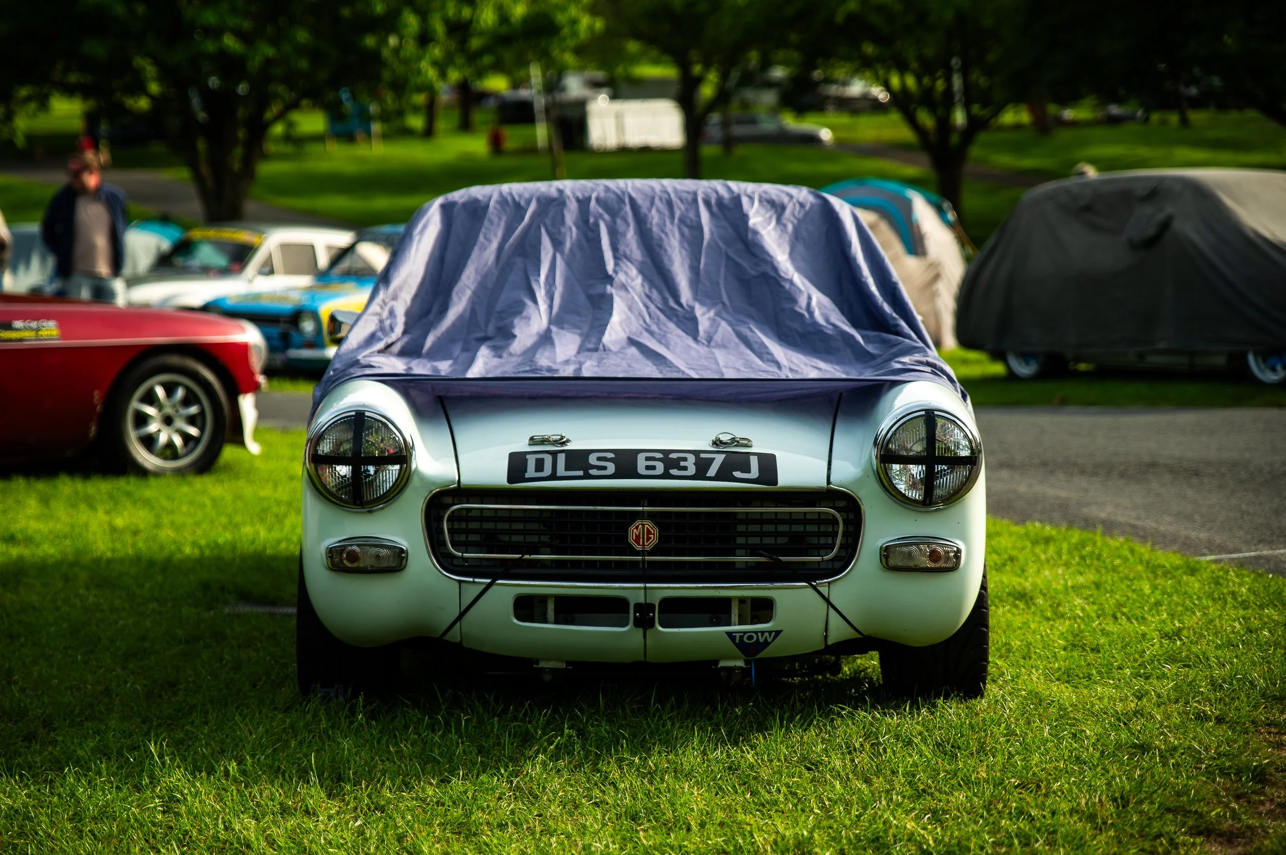 DSC_8914.jpg