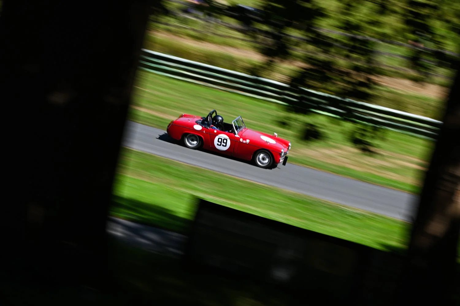 DSC_5463.jpg