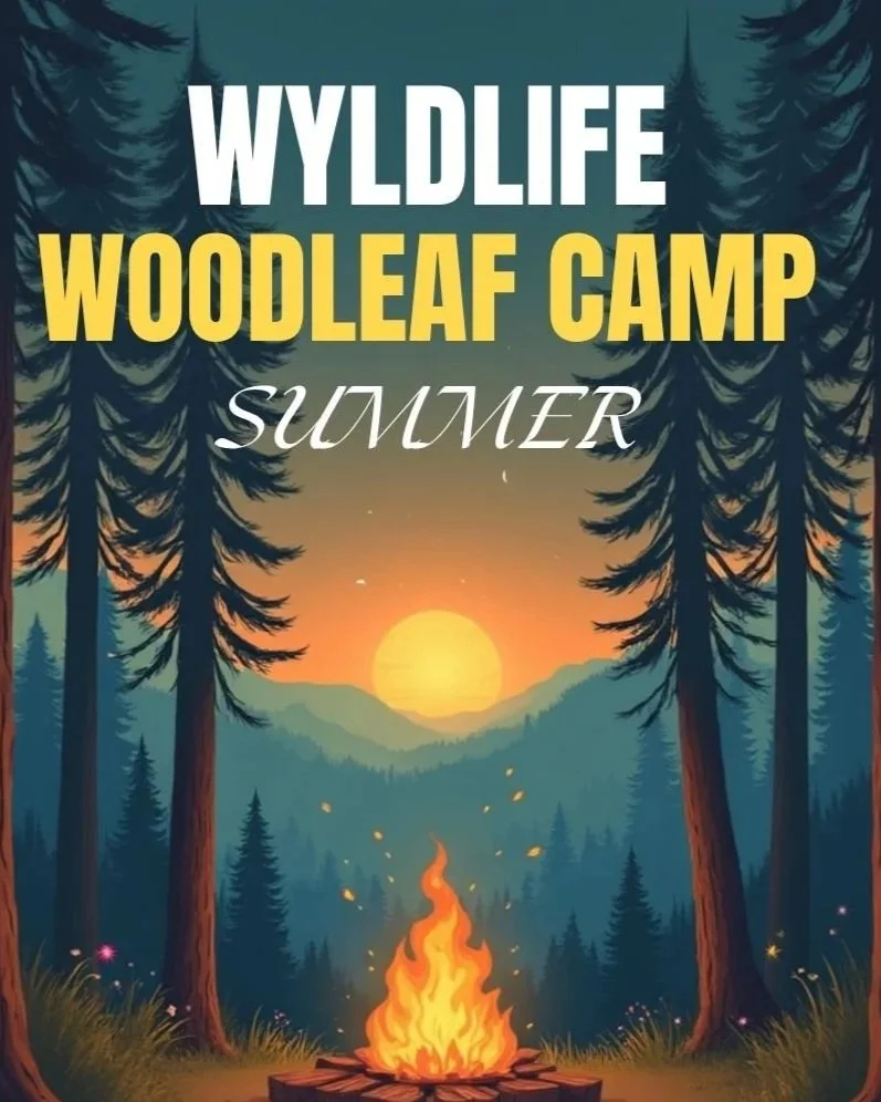 Wyldlife Woodleaf Summer Camp