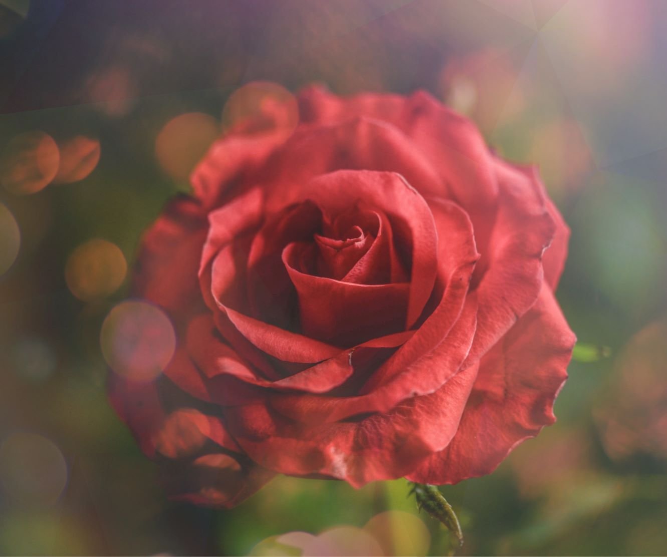 Higher Realms and the Energy World We Live In