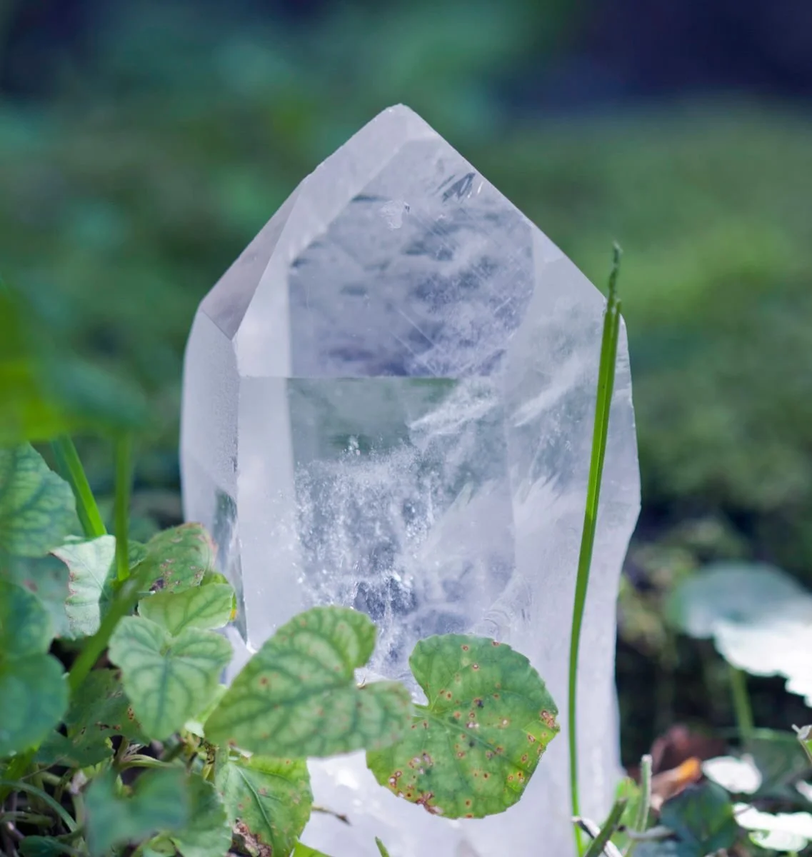 7a tiny.jpg