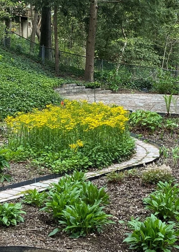 Garden view - small.jpg