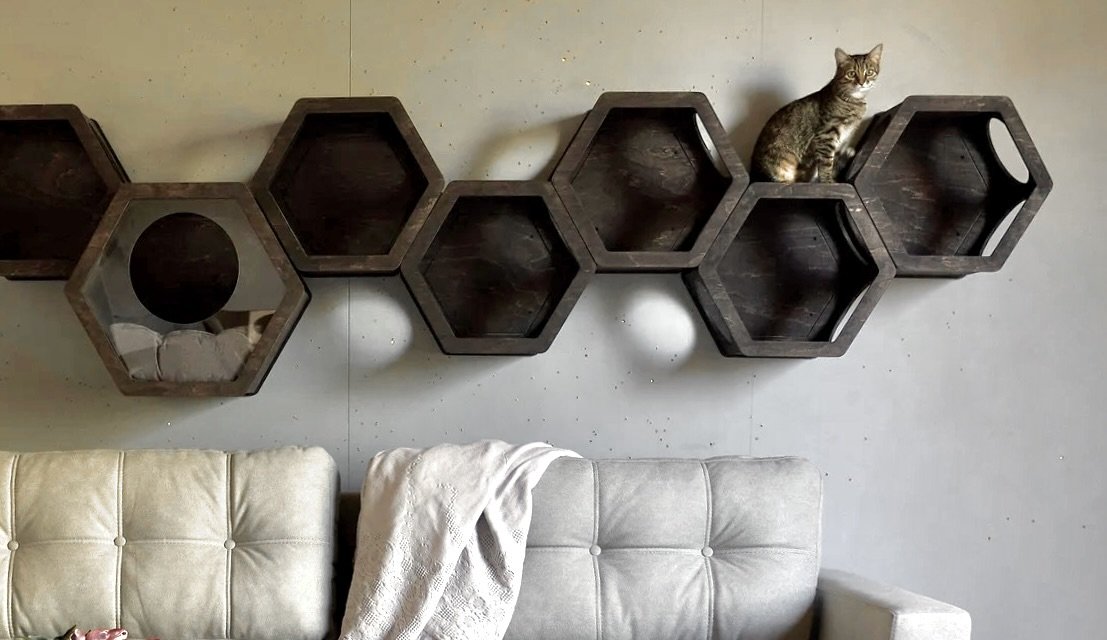 A wall-mounted hexagonal wooden shelf with one section that has a circular mirror, and a tabby cat sitting on one of the hexagon shelves. A cream-colored sofa is visible in the foreground.