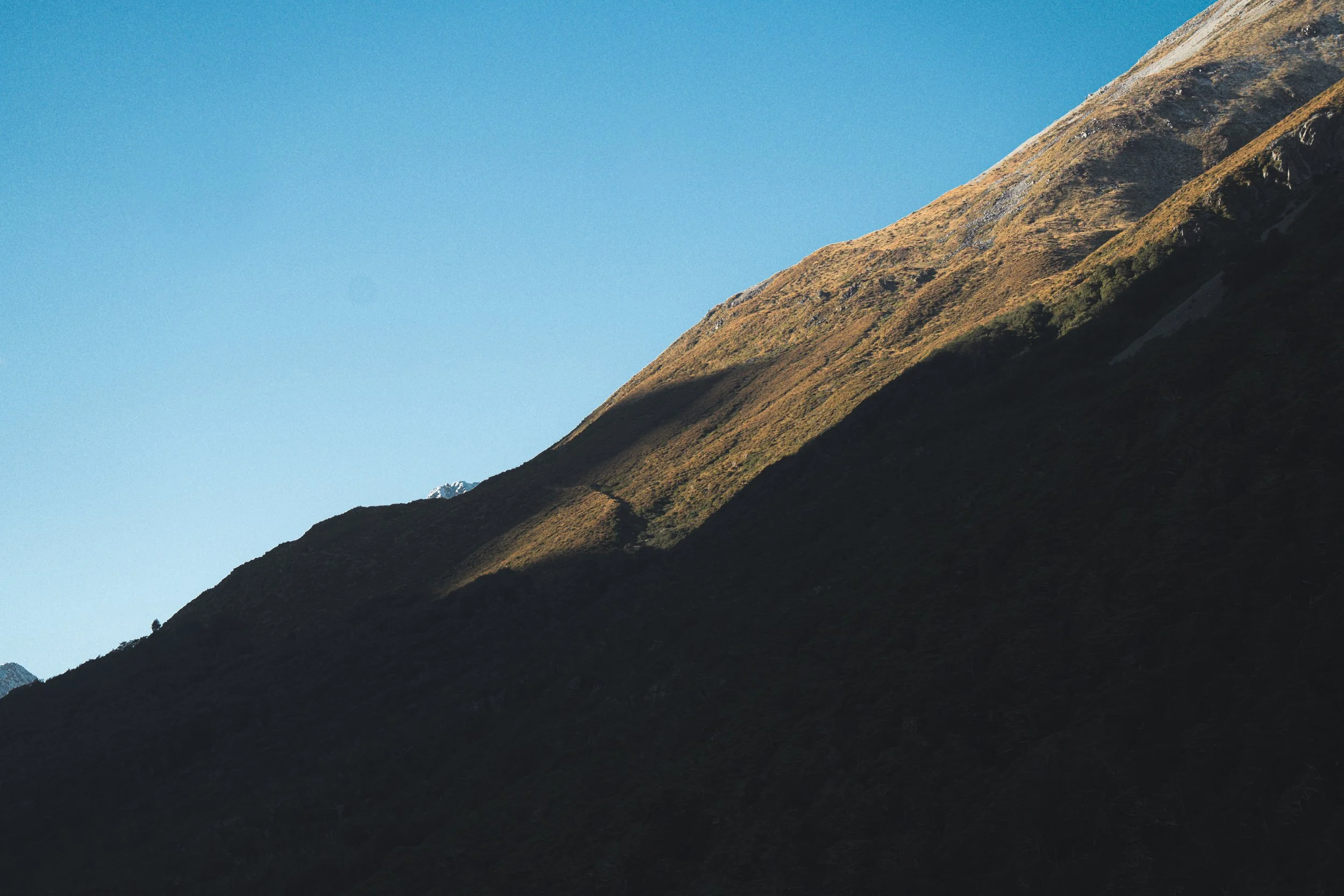 _DSC1163_4x5.jpeg