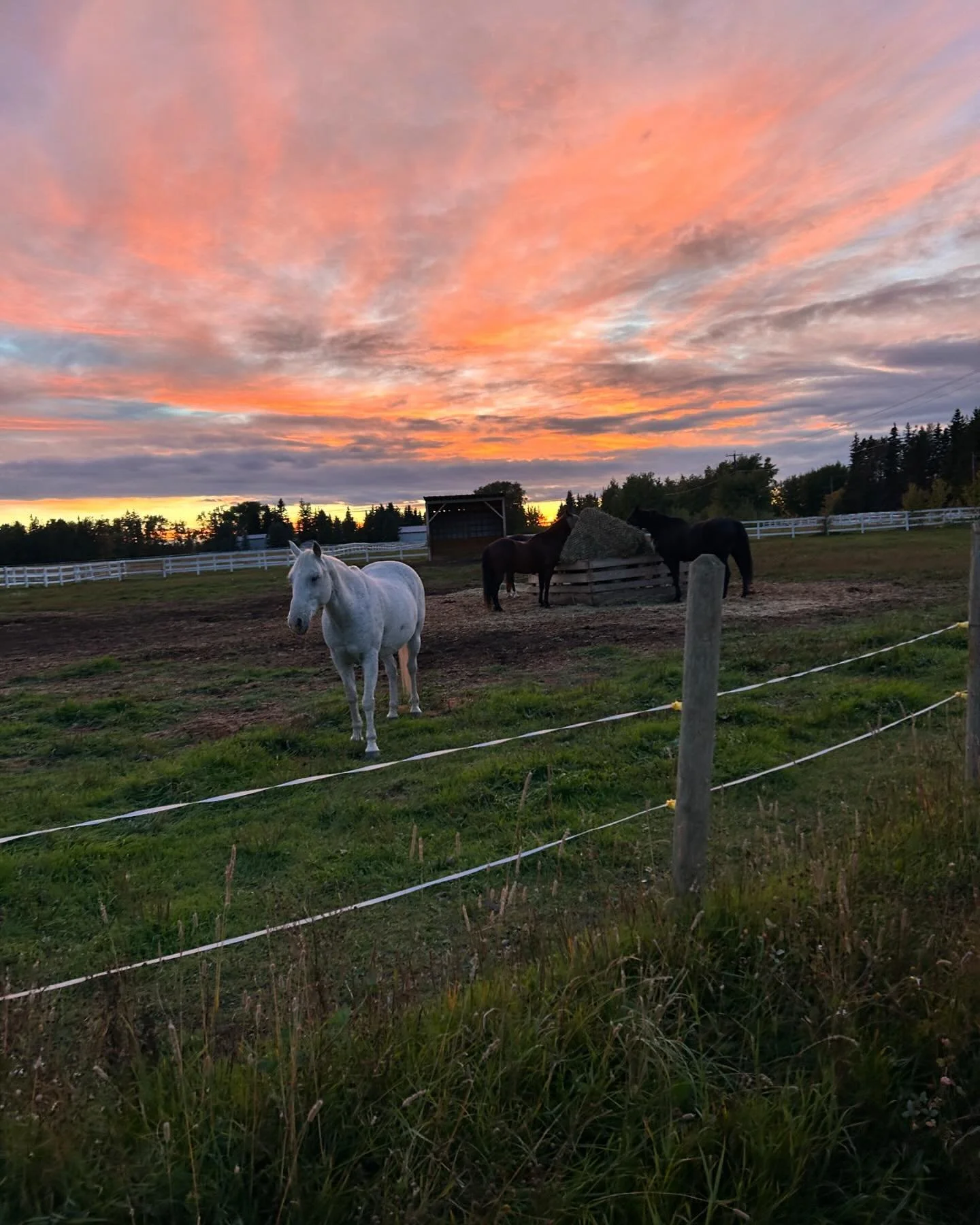 Big fan of that green top these days #lifelately ✨