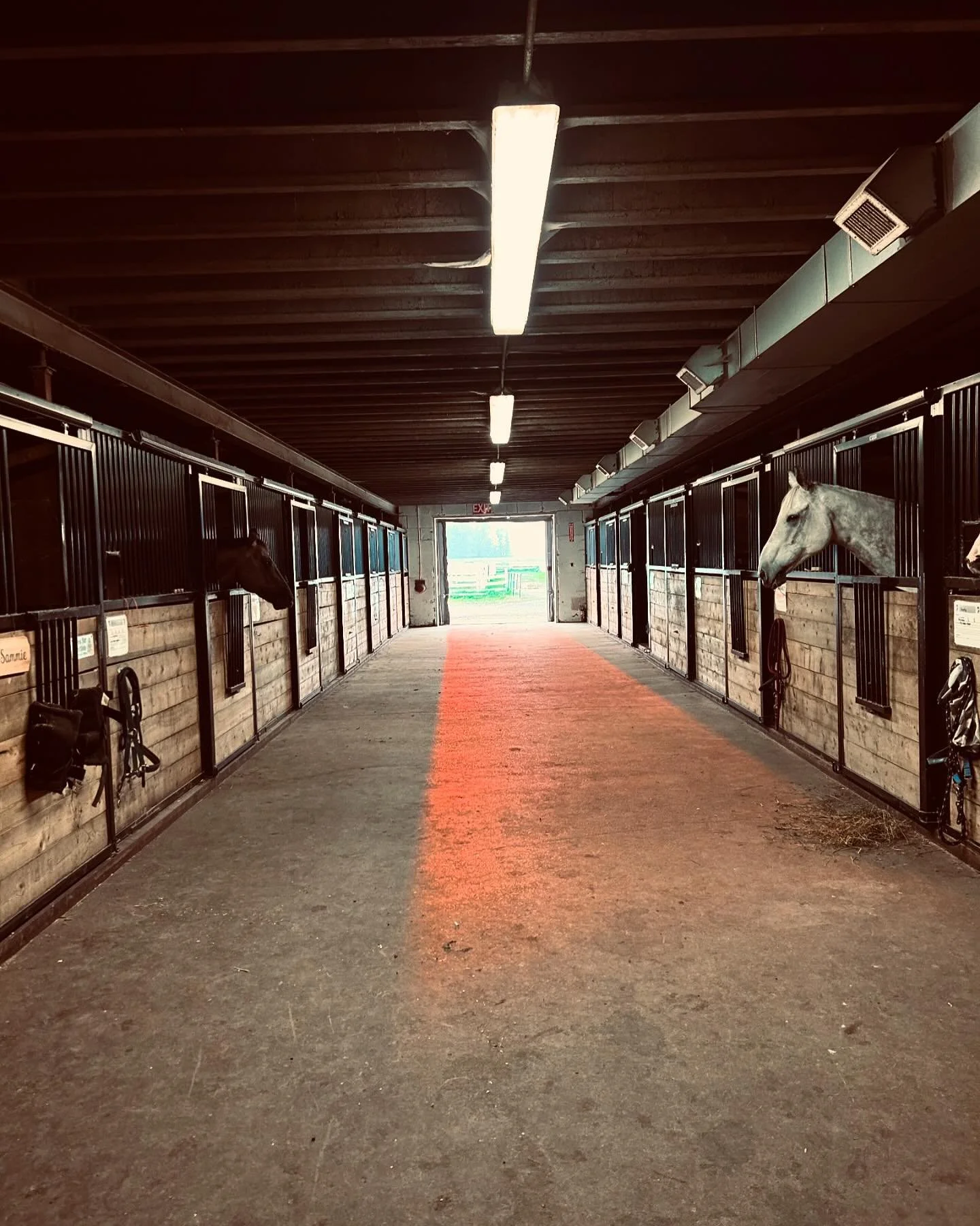 *Mushy post alert!* ⁣
⁣
I want to give a big thanks to @making_memories_78 for another great few months of riding. I only cried once! 🤣 (And on arguably the safest horse in the barn lol.)⁣
⁣
My relationship with riding as an adult has been a masochi