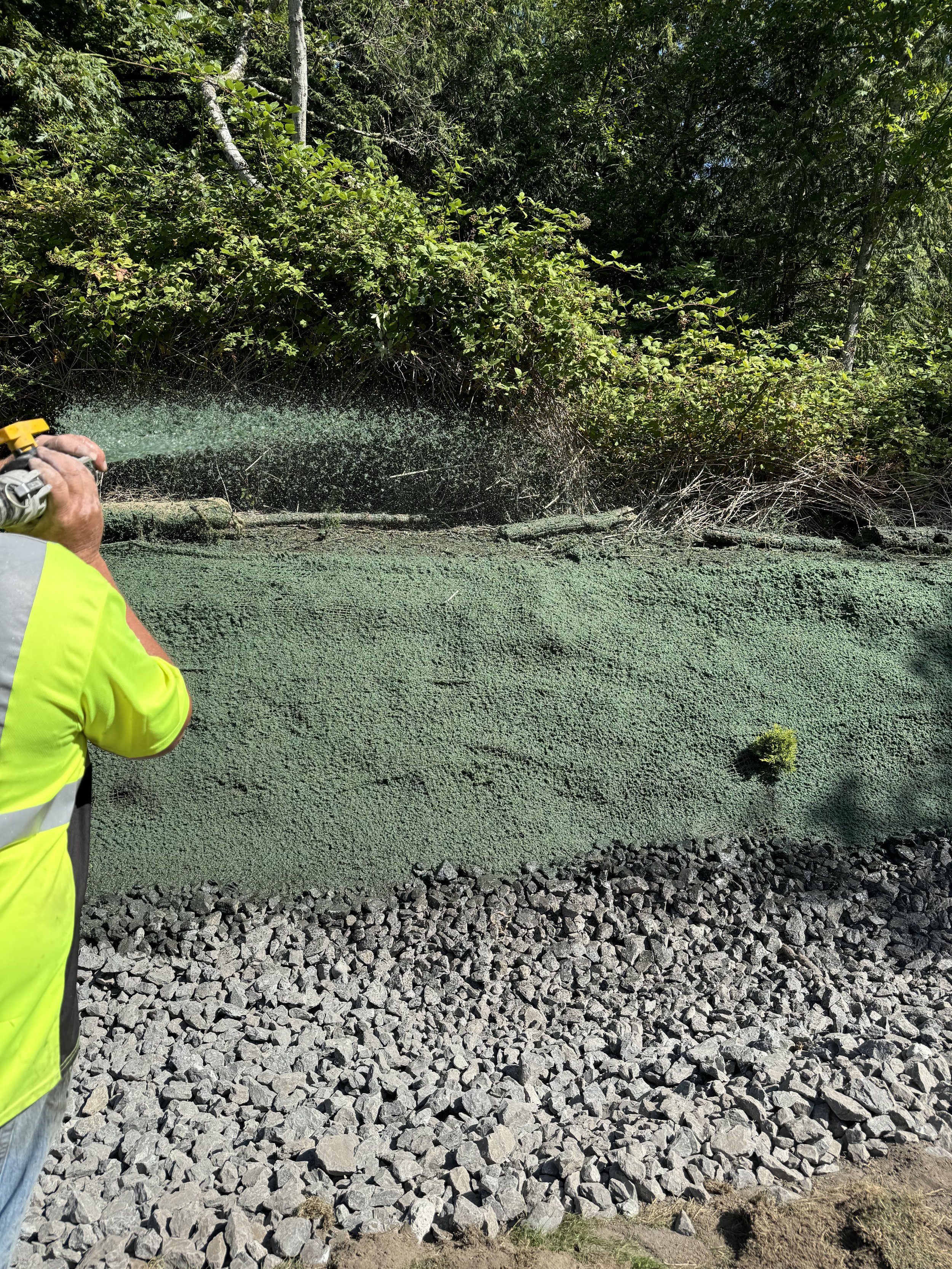 a lawson worker hydroseeding the side of a path