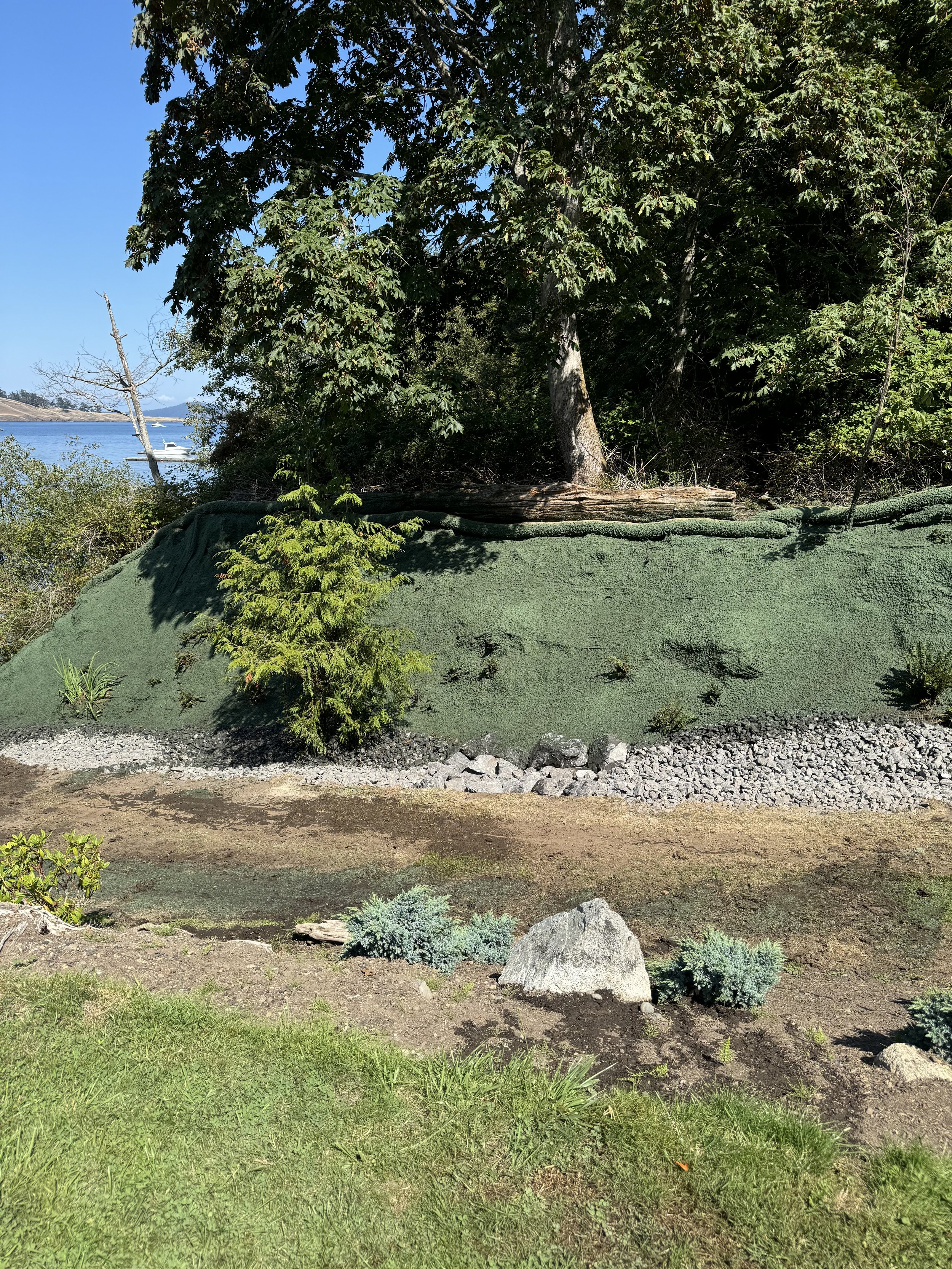 the side of a path that has fresh hydroseeding