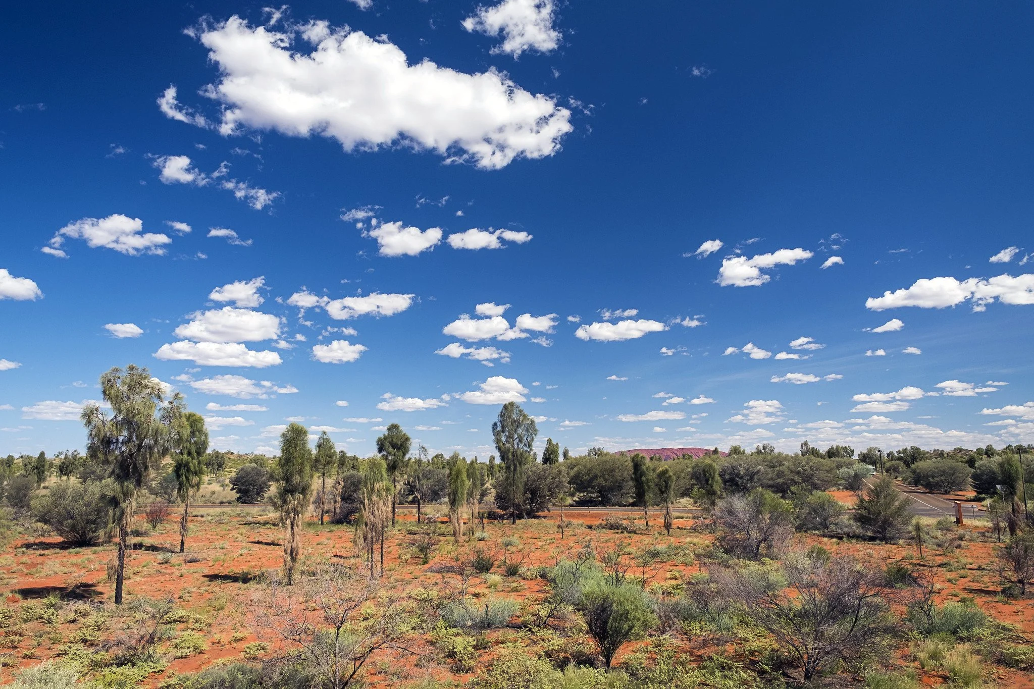 Le désert de Gibson