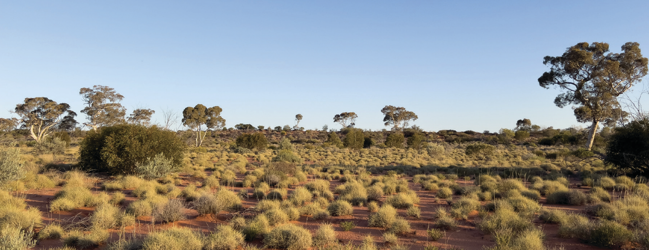 Les 7 sites sacrés les plus représentés dans l'art aborigène Pintupi