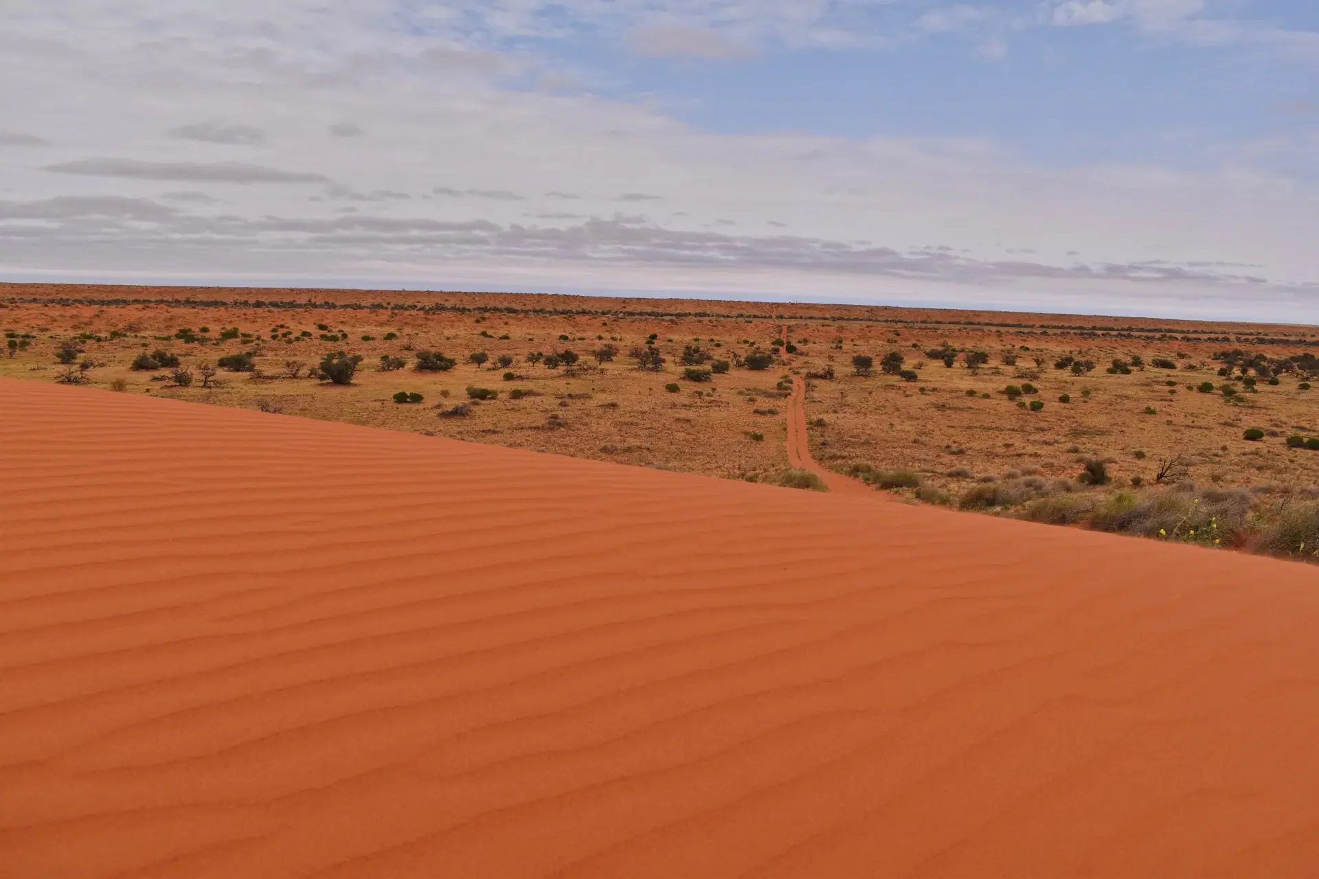 piste de dunes de sable rouge dans un desert avec des petits arbustes et un ciel nuageux.