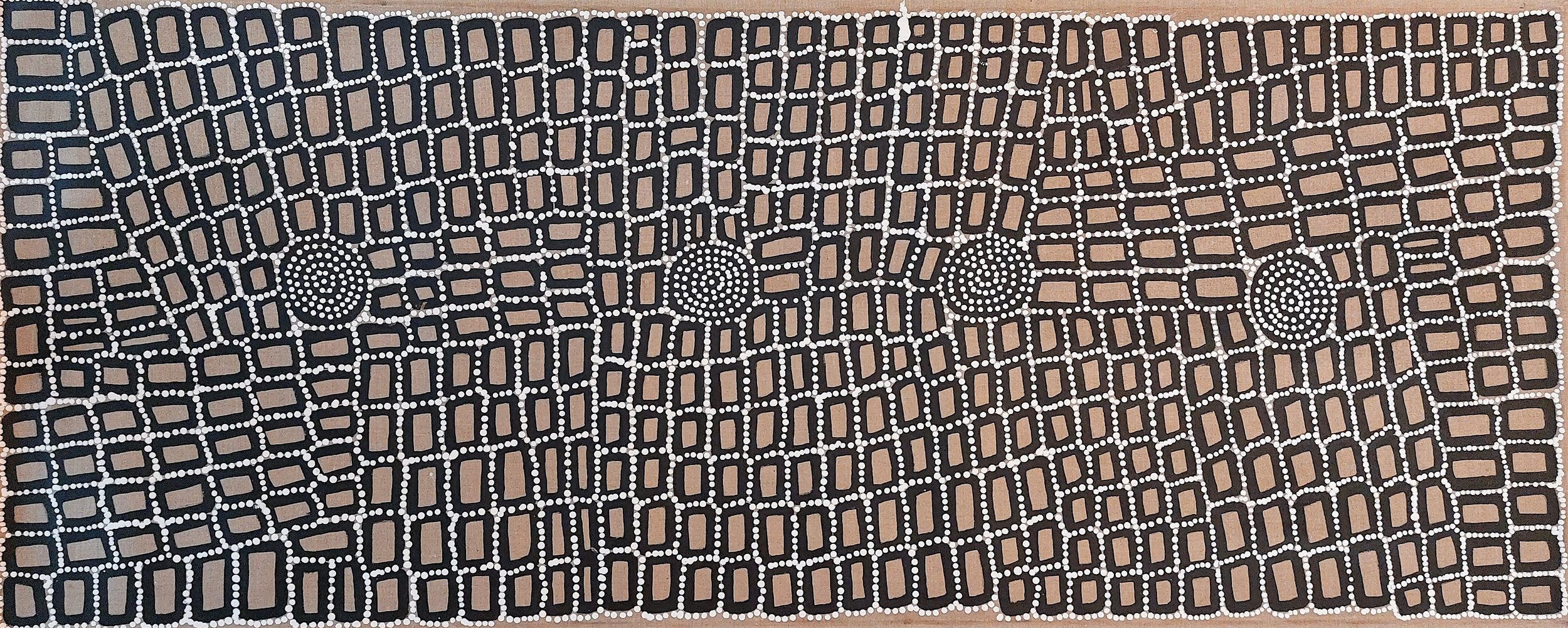 Peinture géométrique de la tradition Tingari du désert occidental