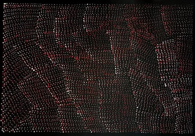 Lily Kelly作 アボリジニアート Lily Kelly作 アボリジニアート Lily Kelly Napangardi Bio