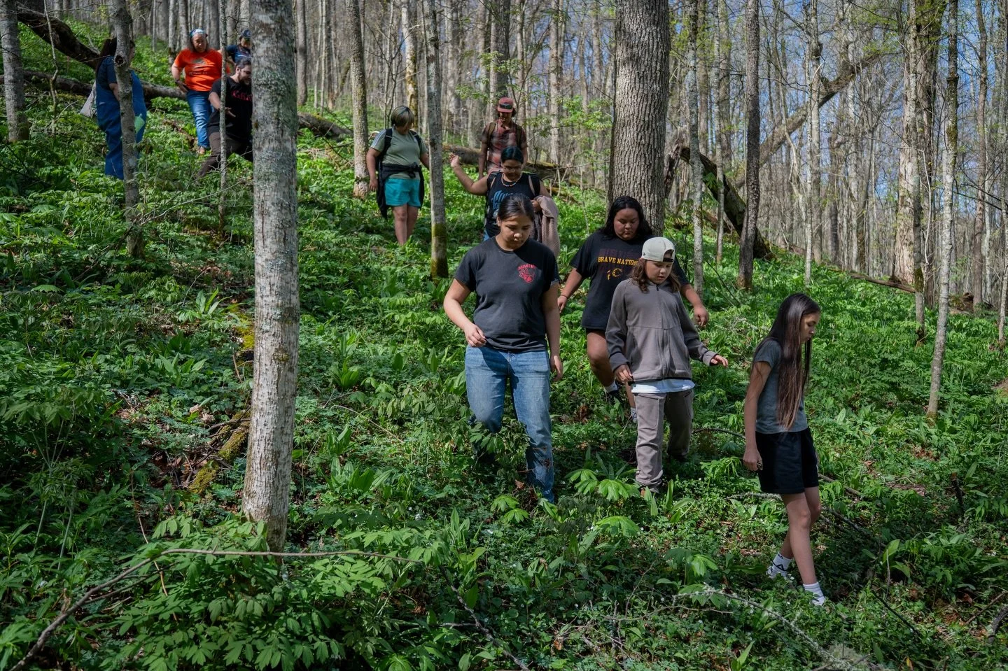 On April 17th, Cherokee Central Youth Conservation (CCYC) students took part in a special field trip to sustainably harvest ramps. For many, it was their first time, making the experience especially meaningful. Students learned to harvest responsibly