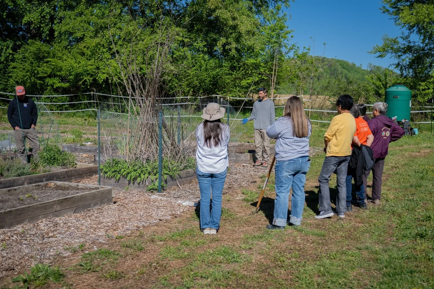 Last week on the 21st, CNH staff and the Mother&rsquo;s Council gathered at the Cherokee Mothers Garden, where Adam Griffith from EBCI NC Cooperative Extension helped harvest sunchokes (Jerusalem artichokes). He shared some for planting and prepared 