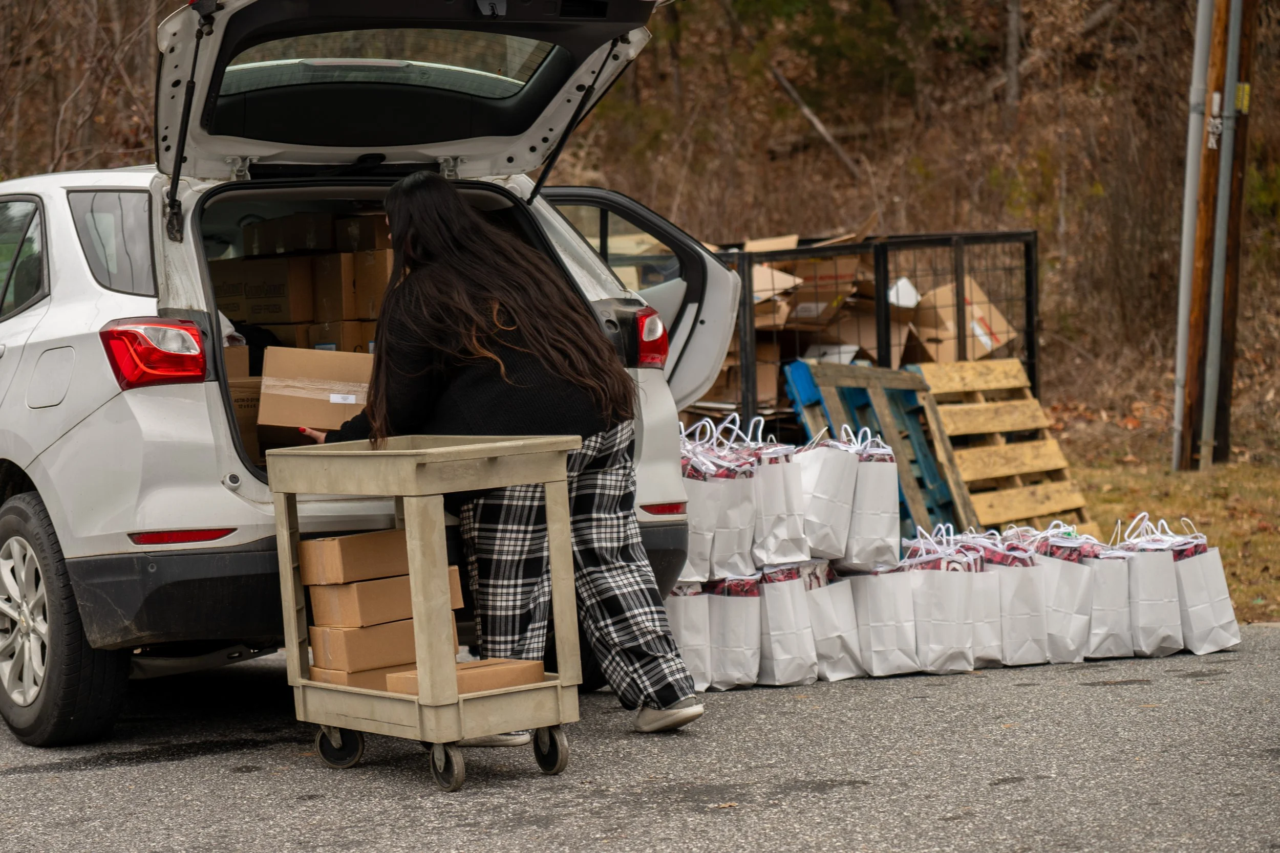 someone loading food boxes into a car
