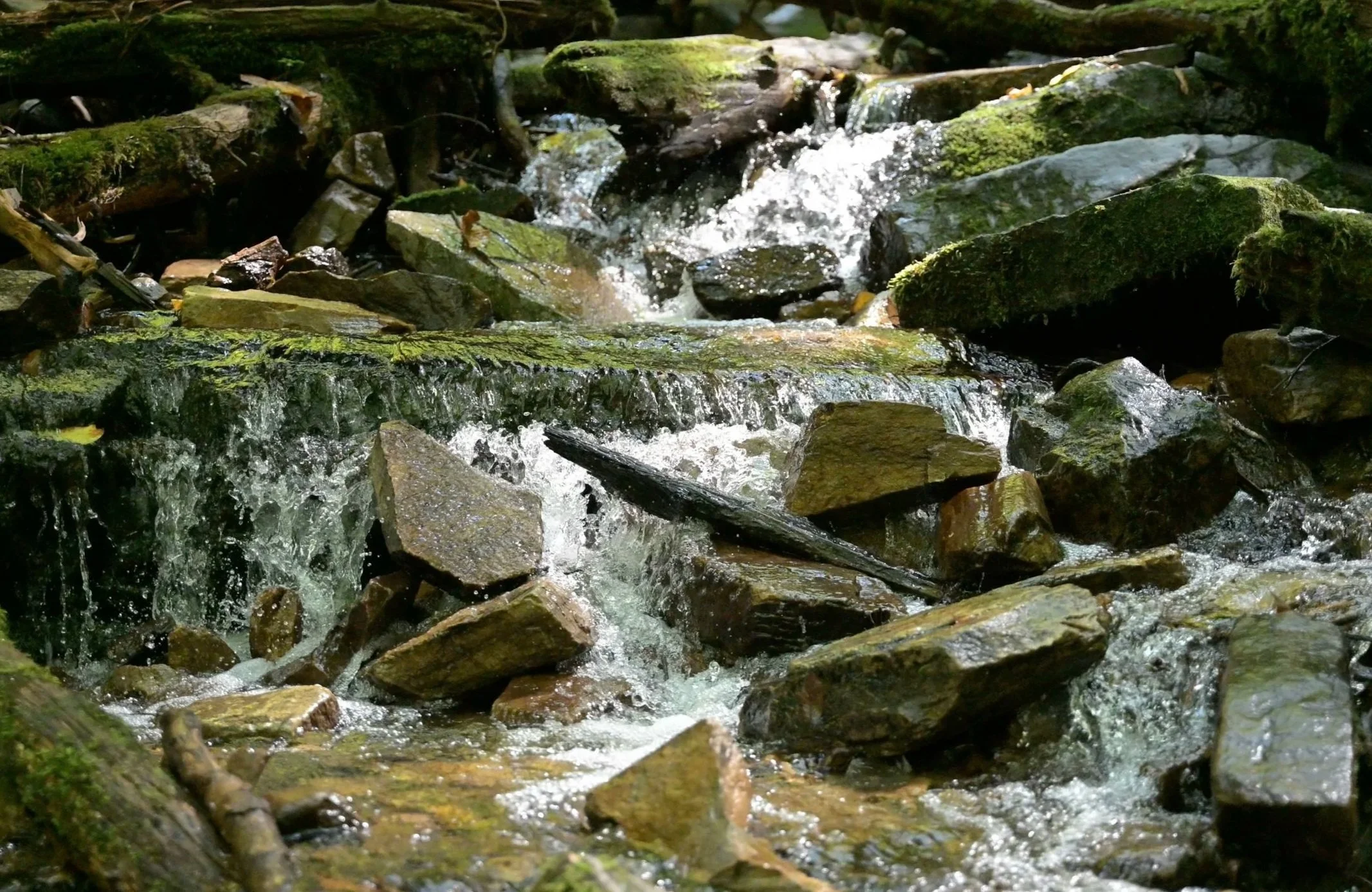close up on rocks in a river