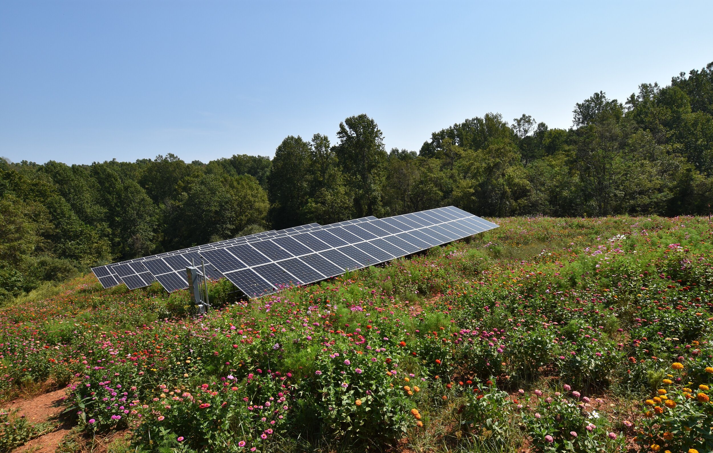 Image via Wolf Josey Landscape Architects.