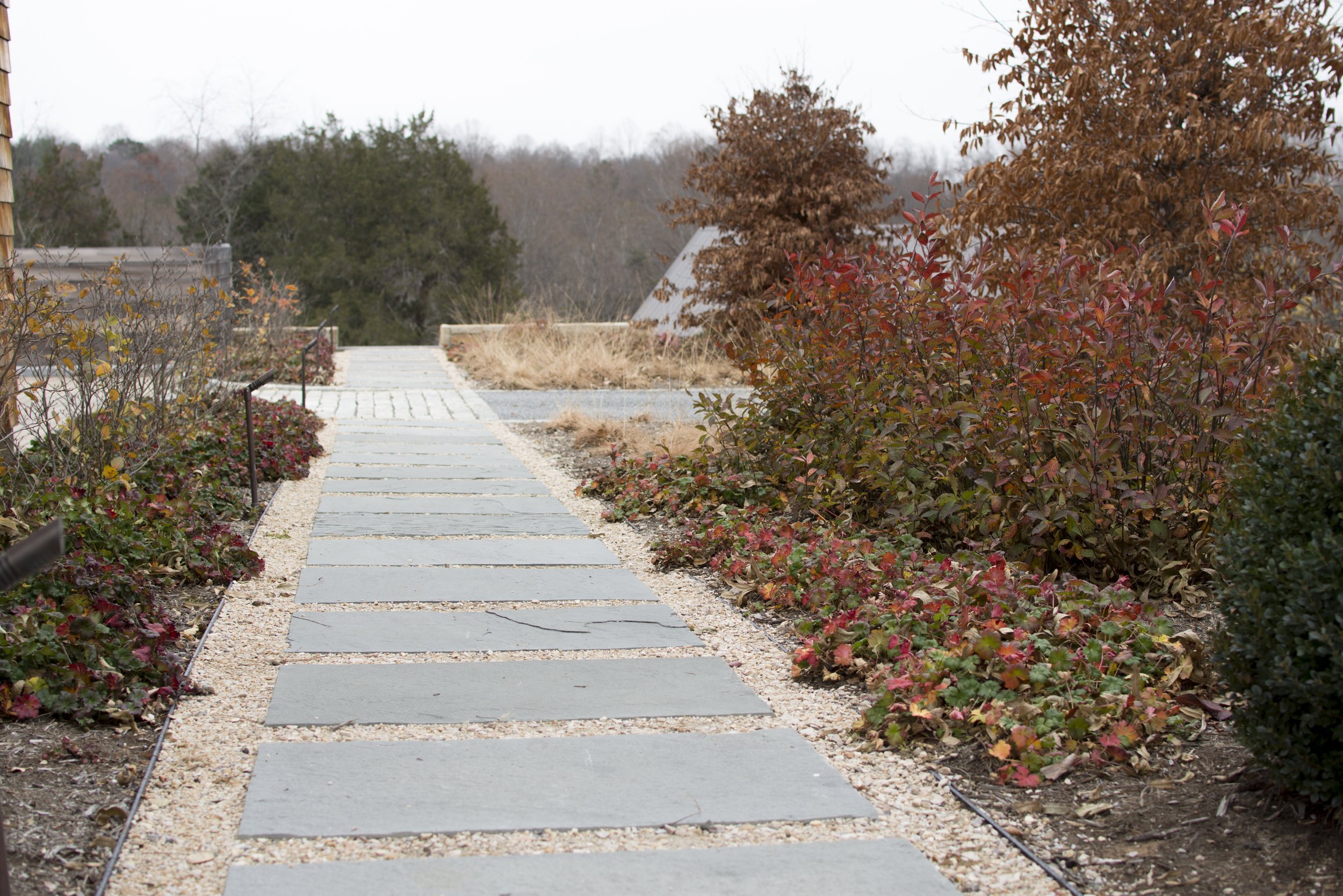 Image via Wolf Josey Landscape Architects.
