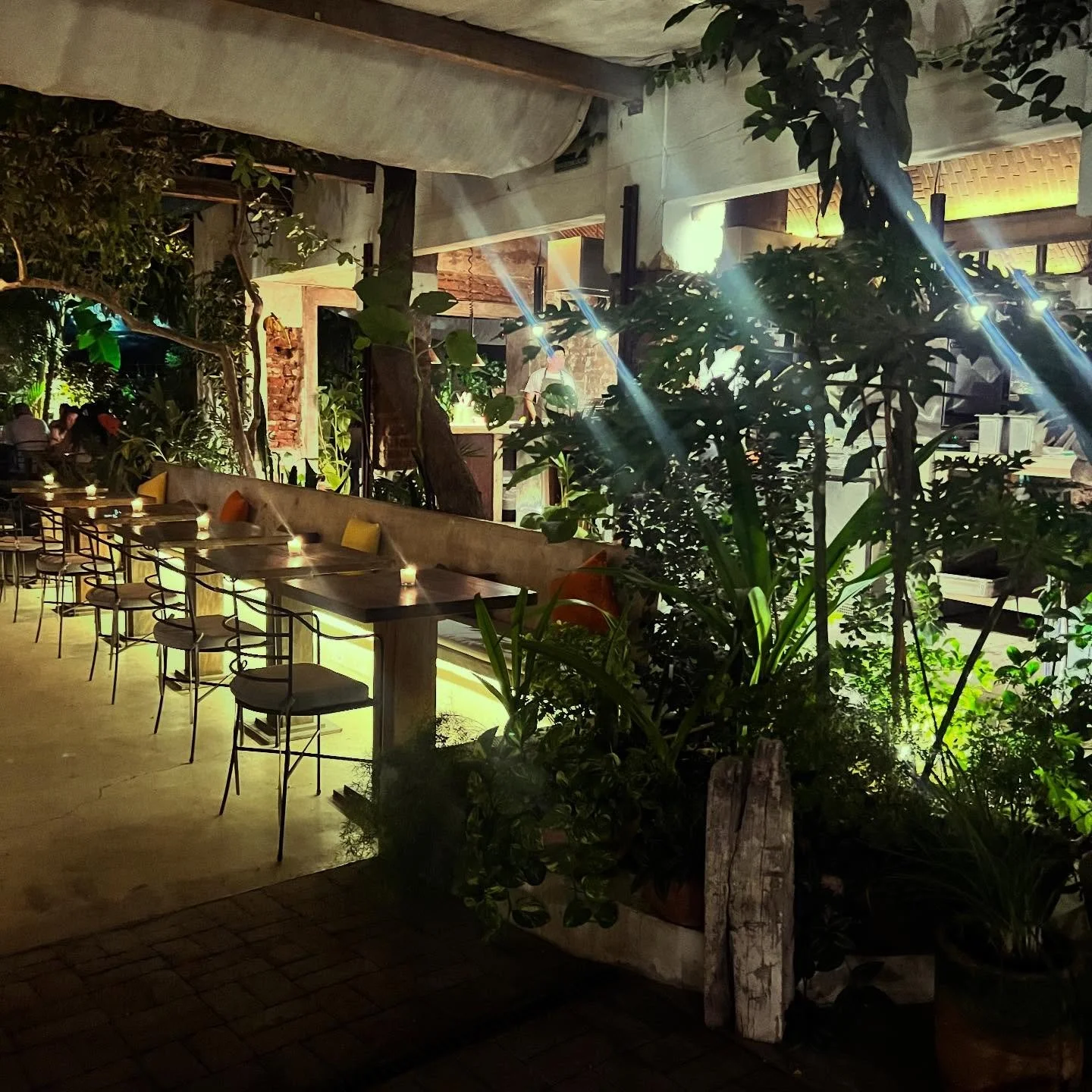 Incredible dinner at The Kitchen in San Jos&eacute; del Cabo tonight. Day 1210 of their sourdough starter, wood-fired magic happening in plain sight, and a menu that actually lives up to the hype. The pappardelle is an absolute don&rsquo;t-miss (orde