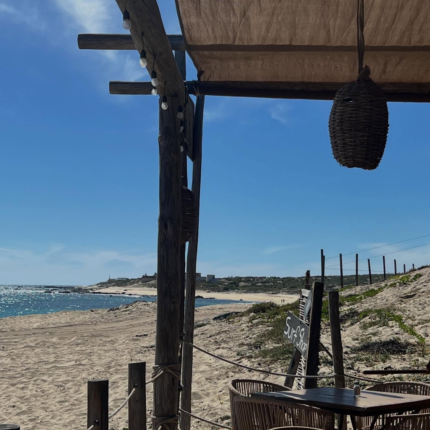 A day at Playa La Fortuna&hellip;
1. Enjoy the coastal vistas on the way out to East Cape, Los Cabos 
2. Park and say hi to the locals (donkeys)
3. Setup chairs, and crack open a cold one 
4. Lunch at Lateral La Fortuna - don&rsquo;t miss the sashimi