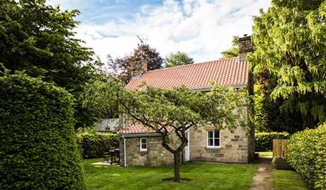back-garden-2.jpg