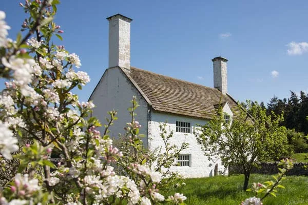 dolbelydr-exterior-withblossom-600x400.jpg