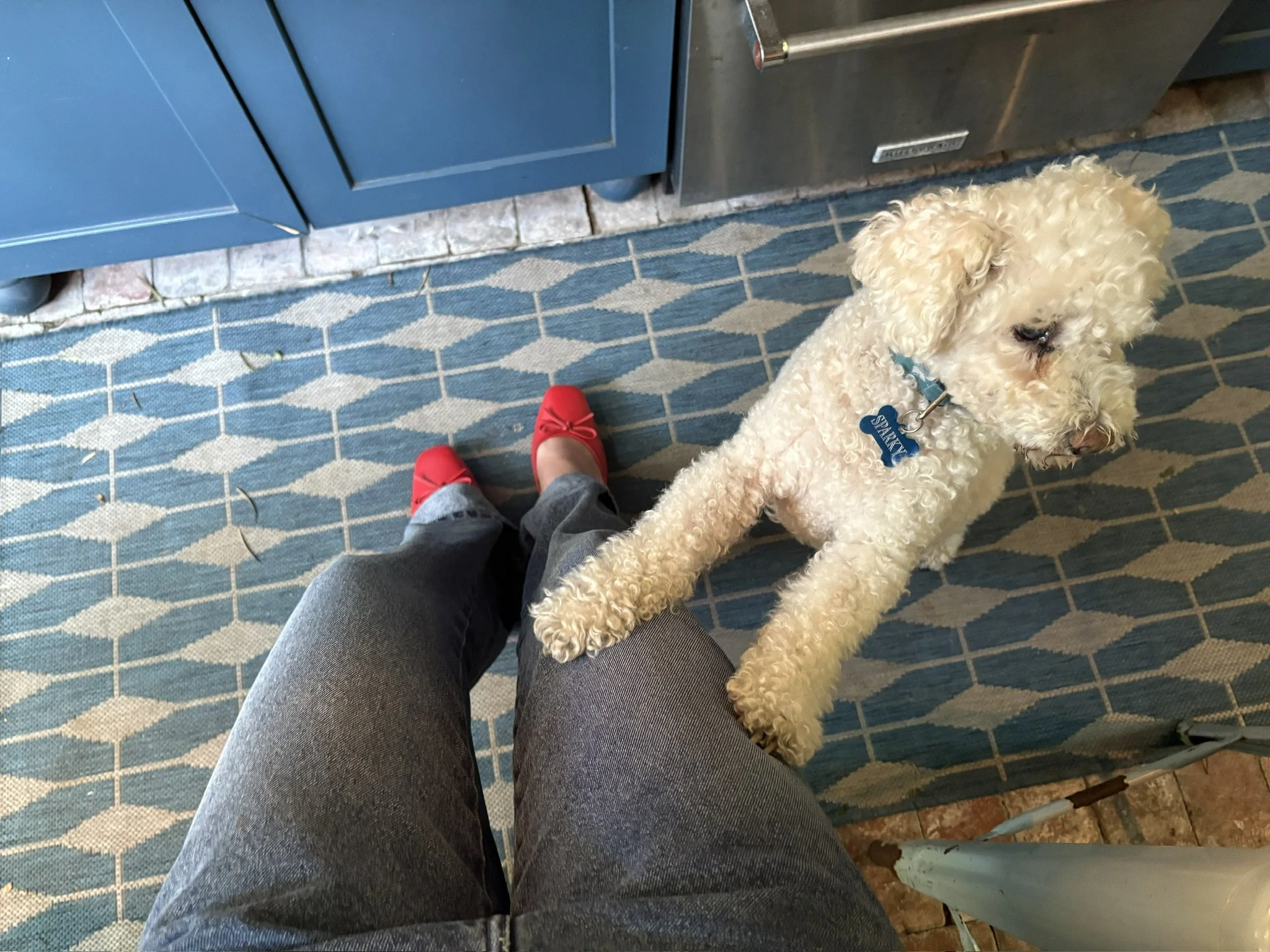 48D42CAD-DD06-4891-ABD8-D73524CA0A8A_1_102_o.jpeg