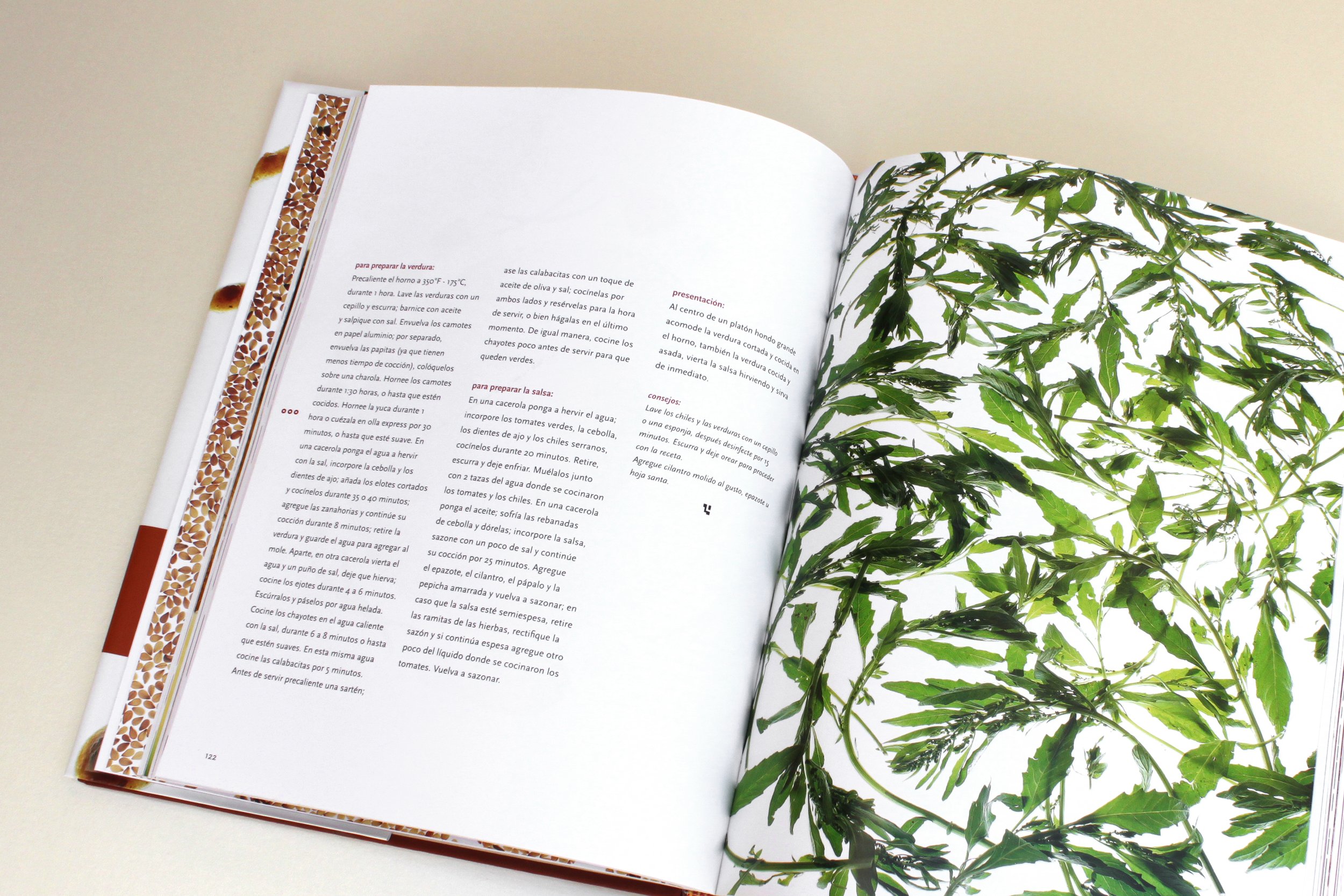 Página de libro abierta con texto en español y una hoja grande con hojas verdes en la derecha.