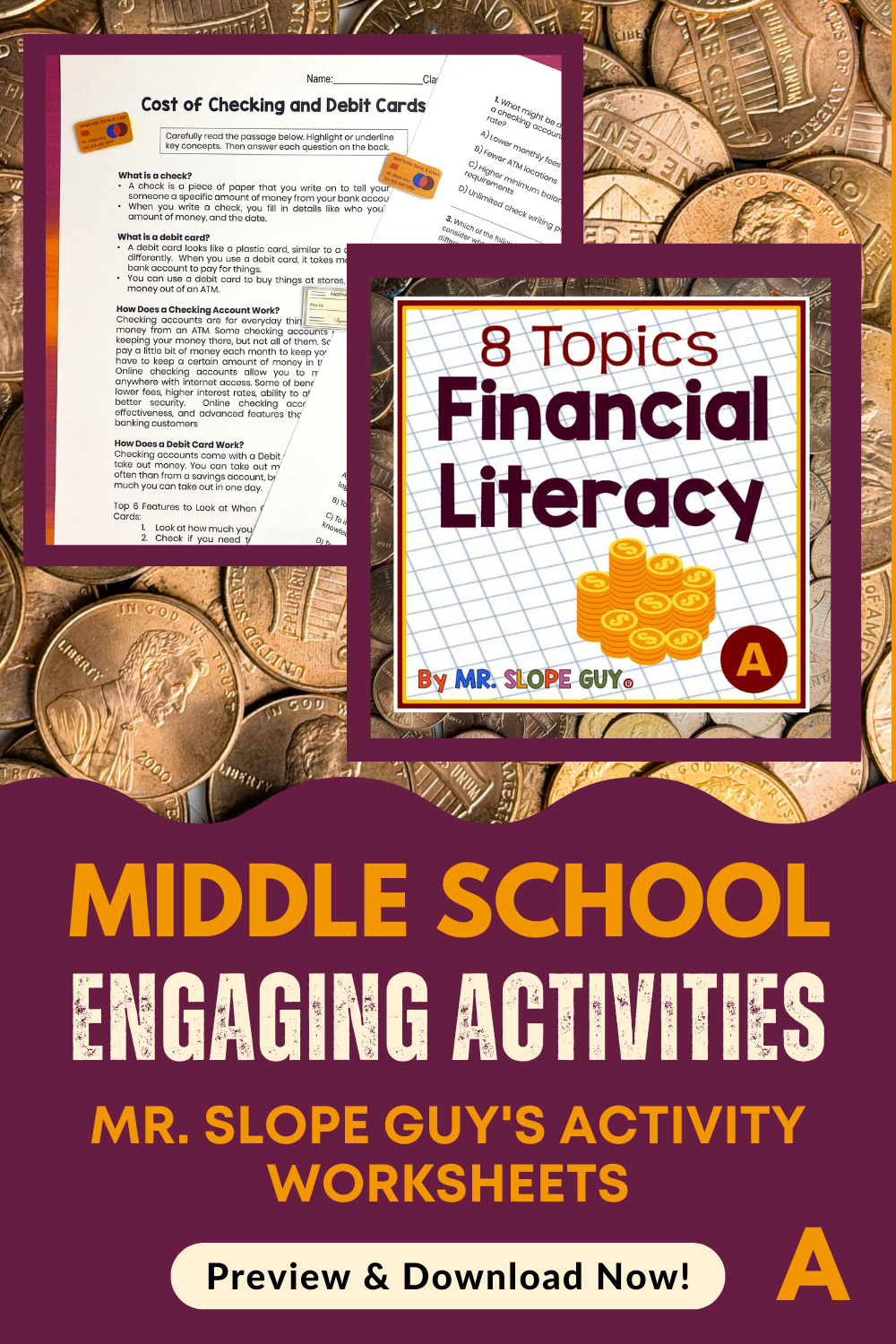 Financial Literacy  Bundle A Pin .png