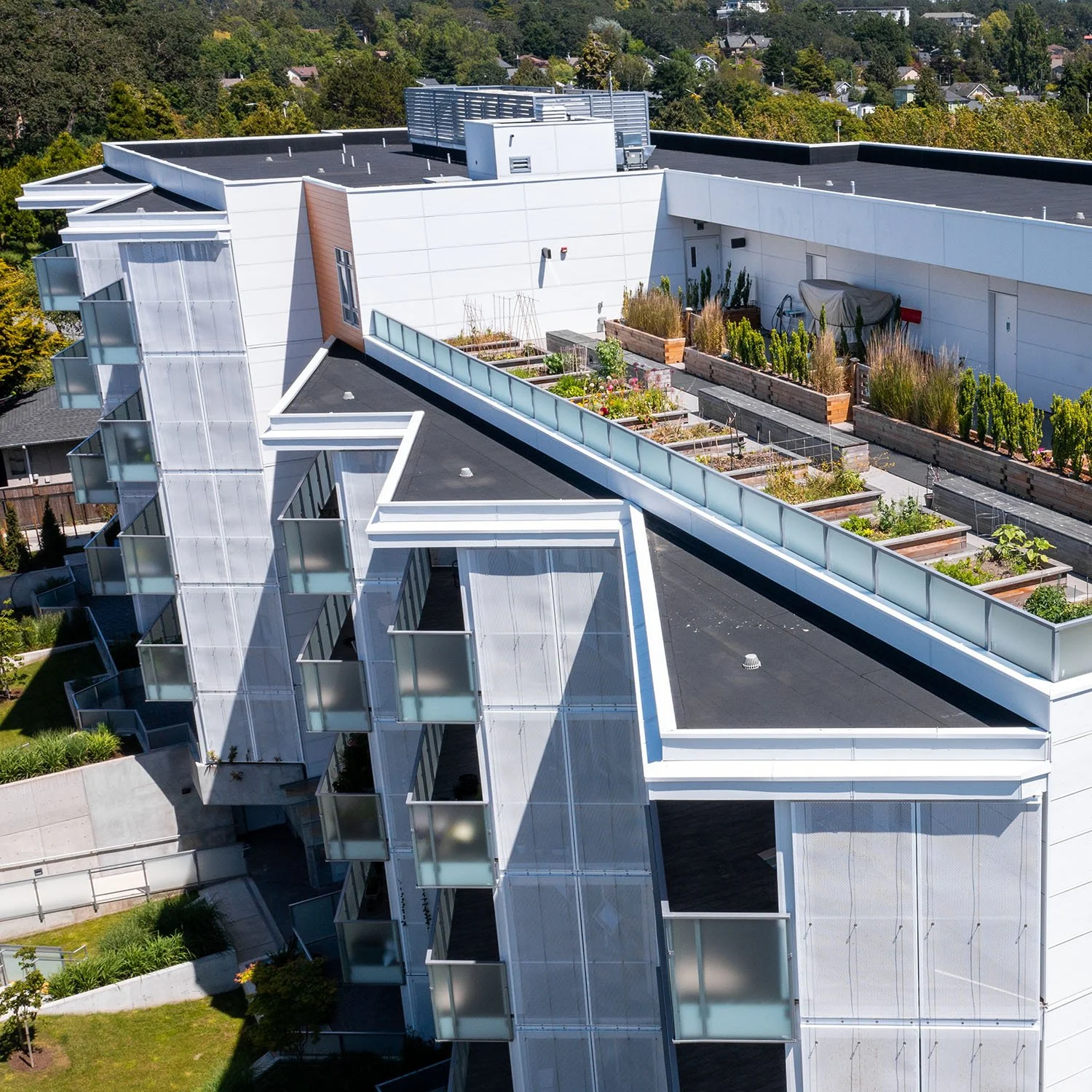 881 Short Street-04.jpg