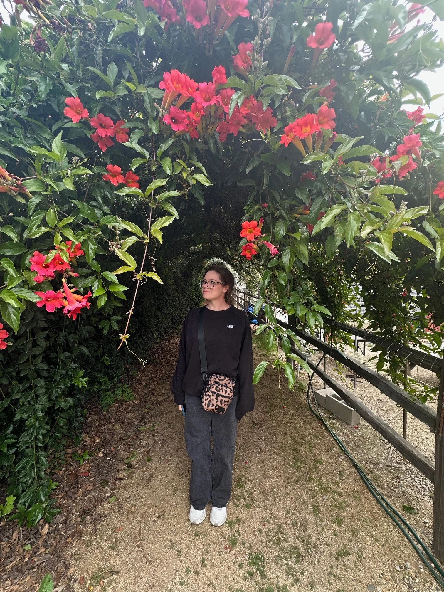 Pantsing vs. Plotting: How I Finally Figured Out Which Writer I Am