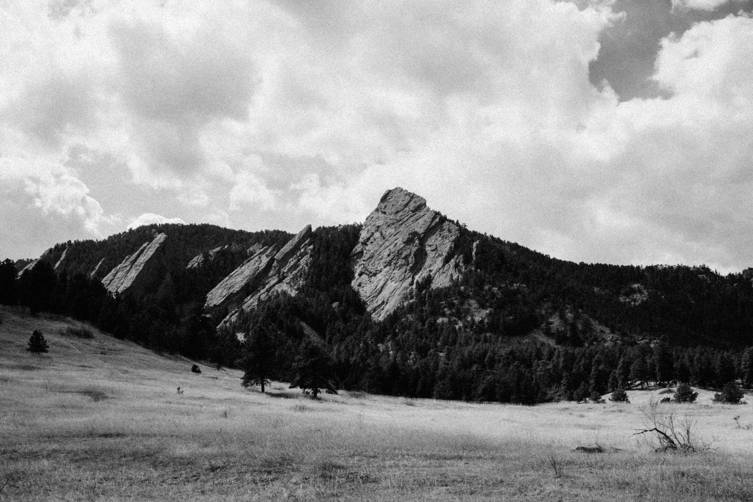 DSC04376.jpeg