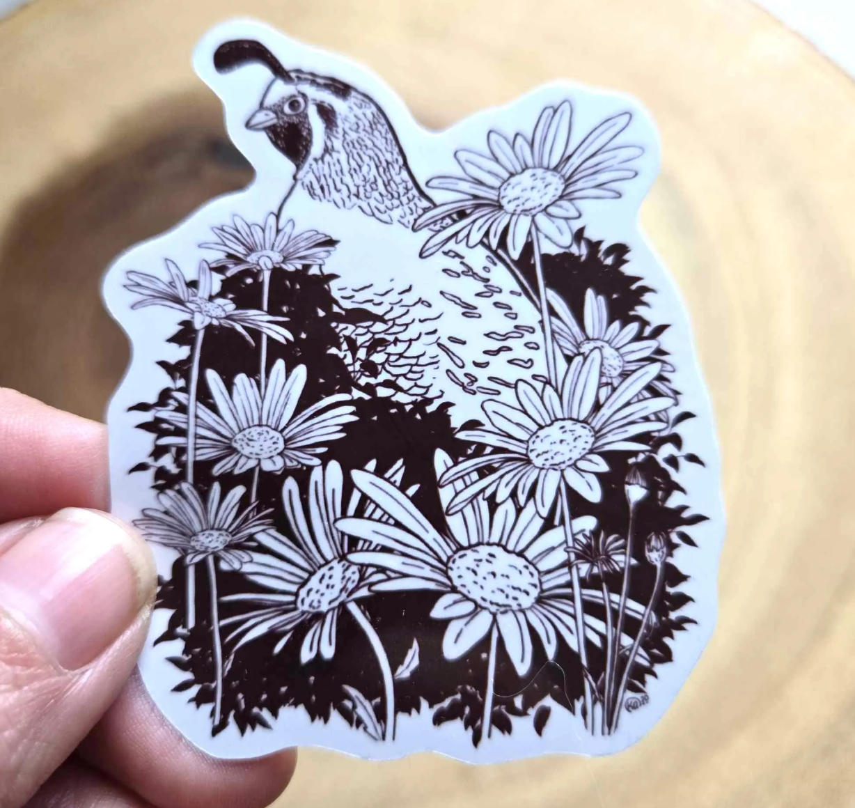 Daisy Quail