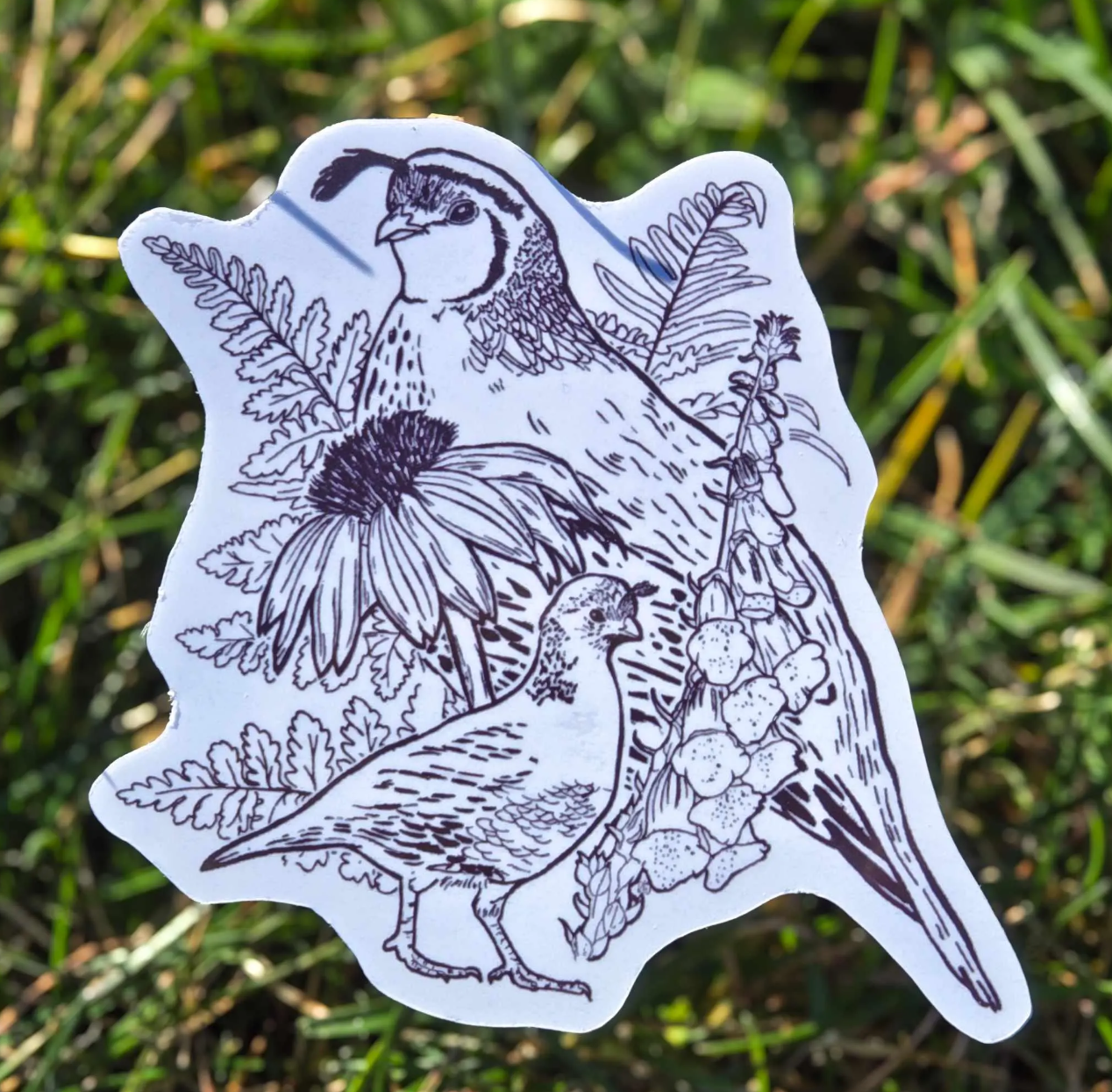 Quail and Wildflowers